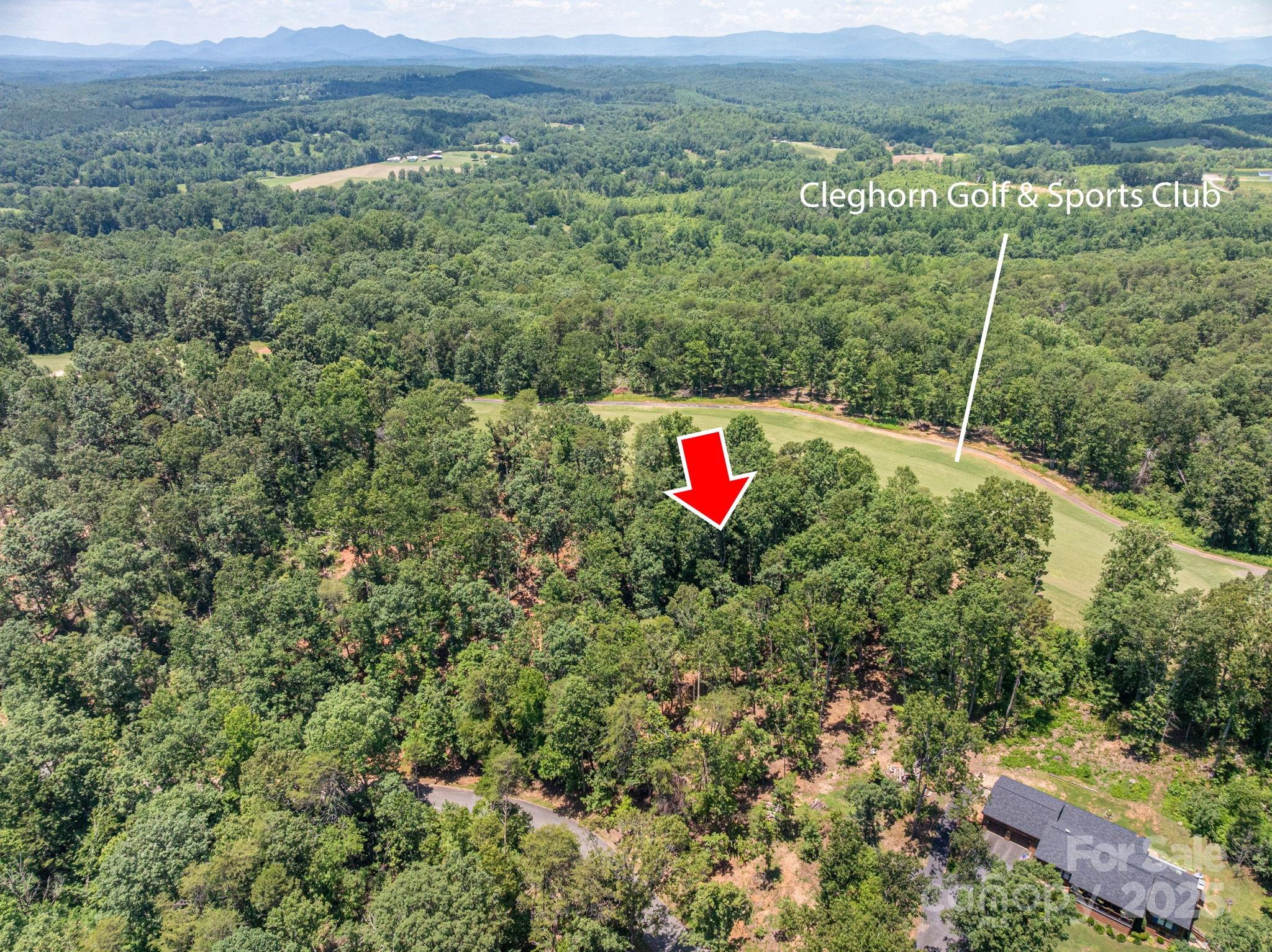 Lot at Lot 209 Plantation Drive, Rutherfordton, photo 3 of 14