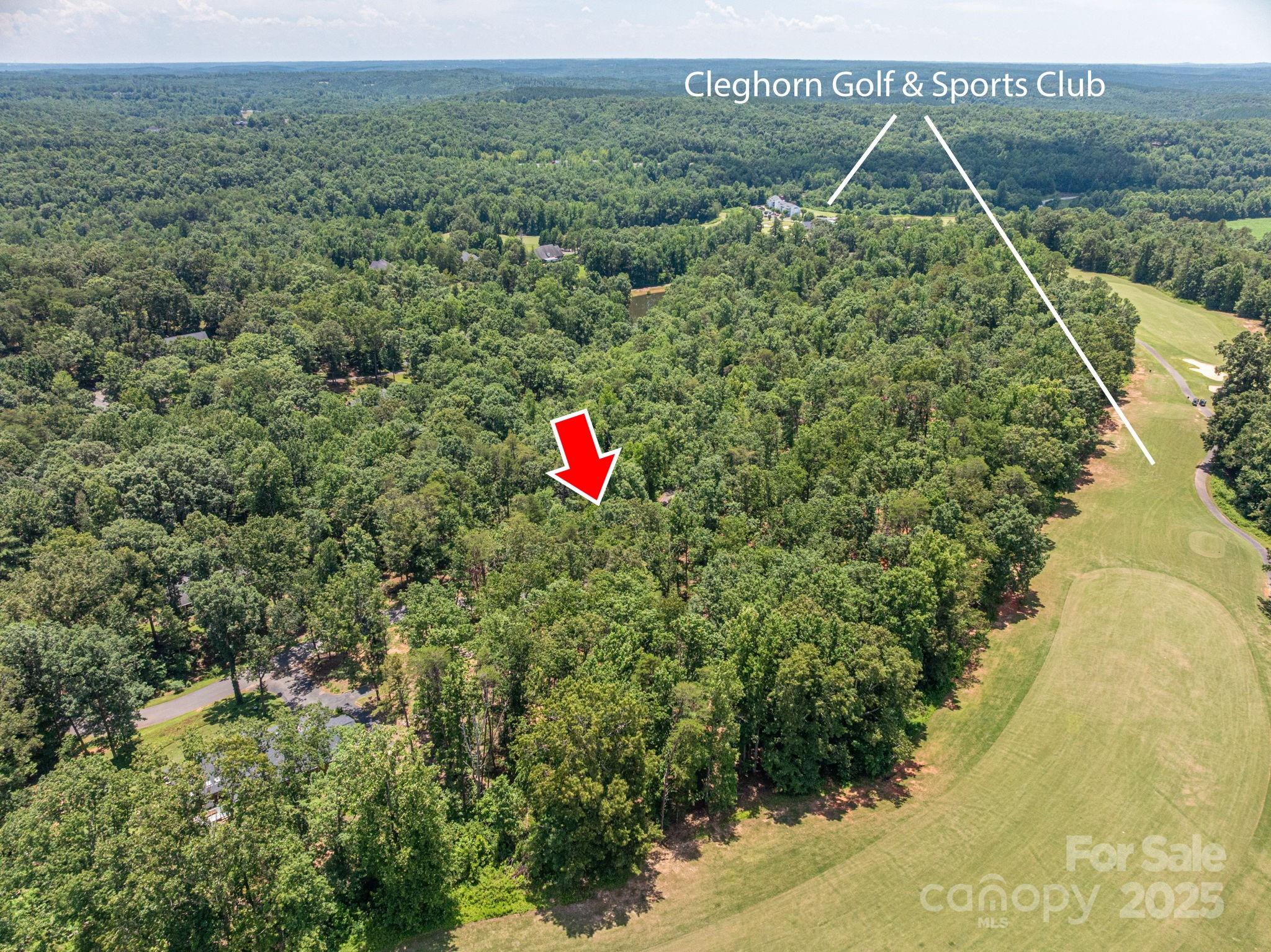 Lot at Lot 209 Plantation Drive, Rutherfordton, photo 4 of 14