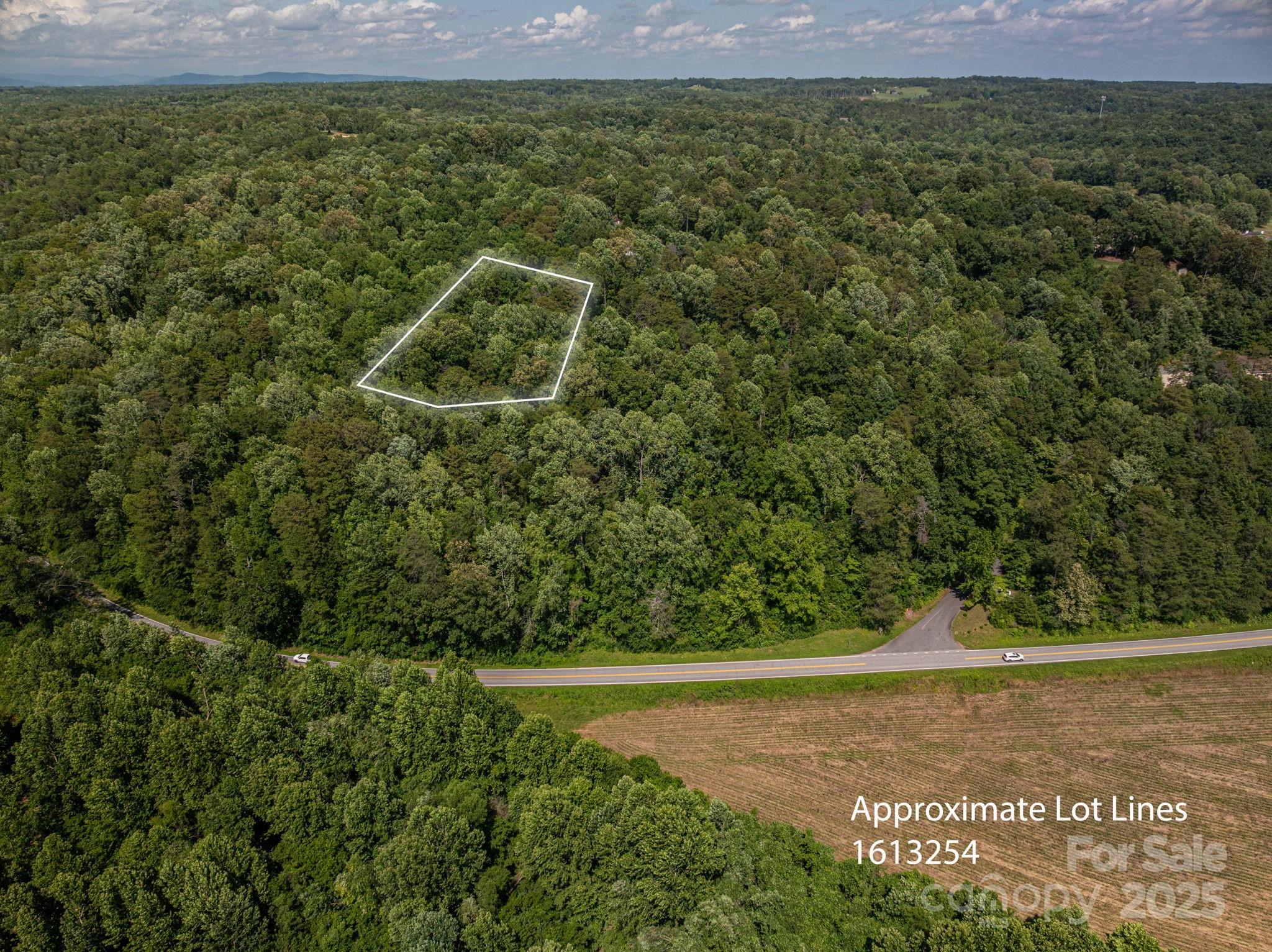 Lot at Lot 166 Plantation Drive, Rutherfordton, photo 4 of 22