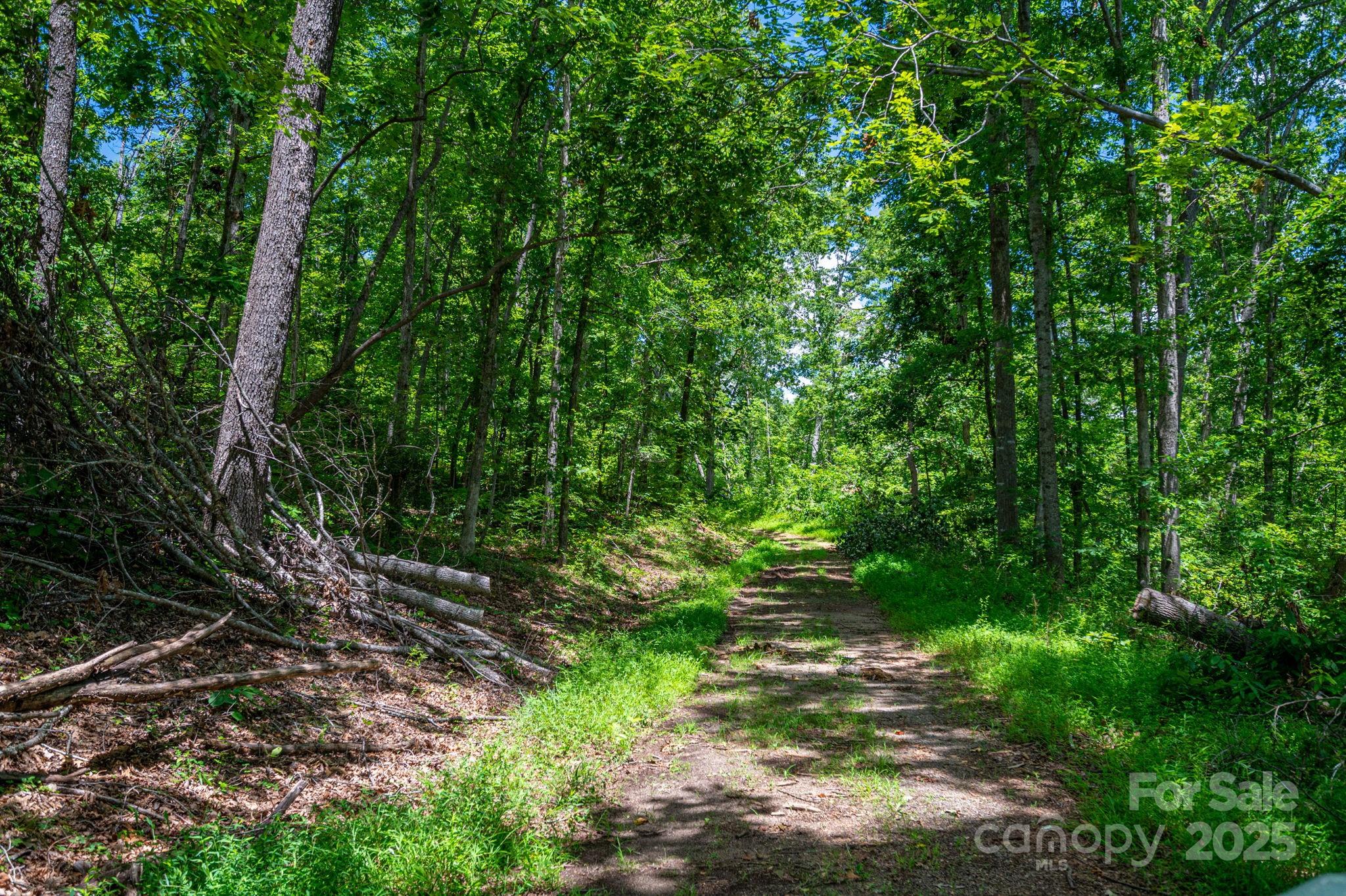 Lot at Lot 210 Plantation Drive, Rutherfordton, photo 2 of 9