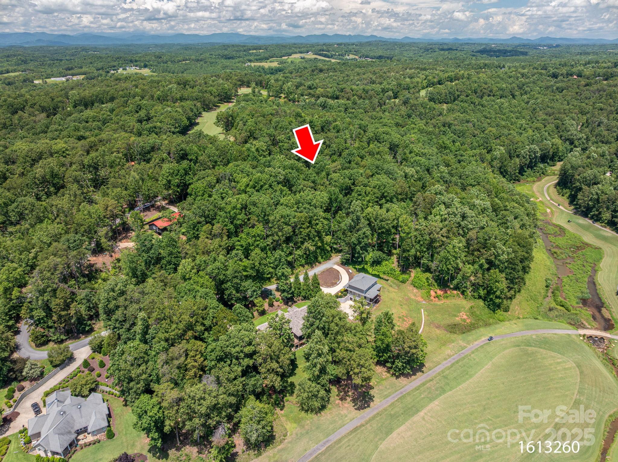 Lot at Lot 210 Plantation Drive, Rutherfordton, photo 3 of 9
