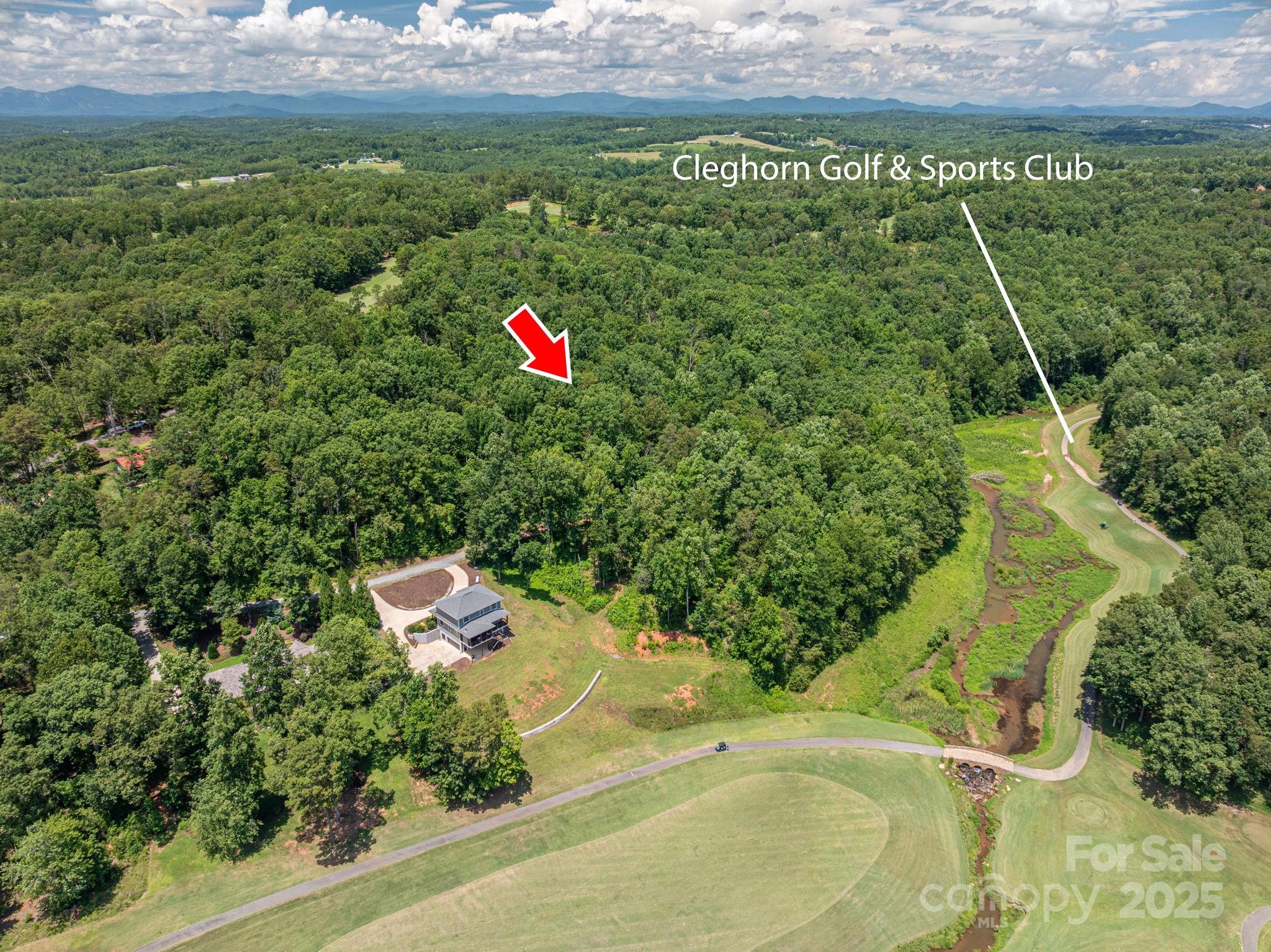 Lot at Lot 210 Plantation Drive, Rutherfordton, photo 4 of 9