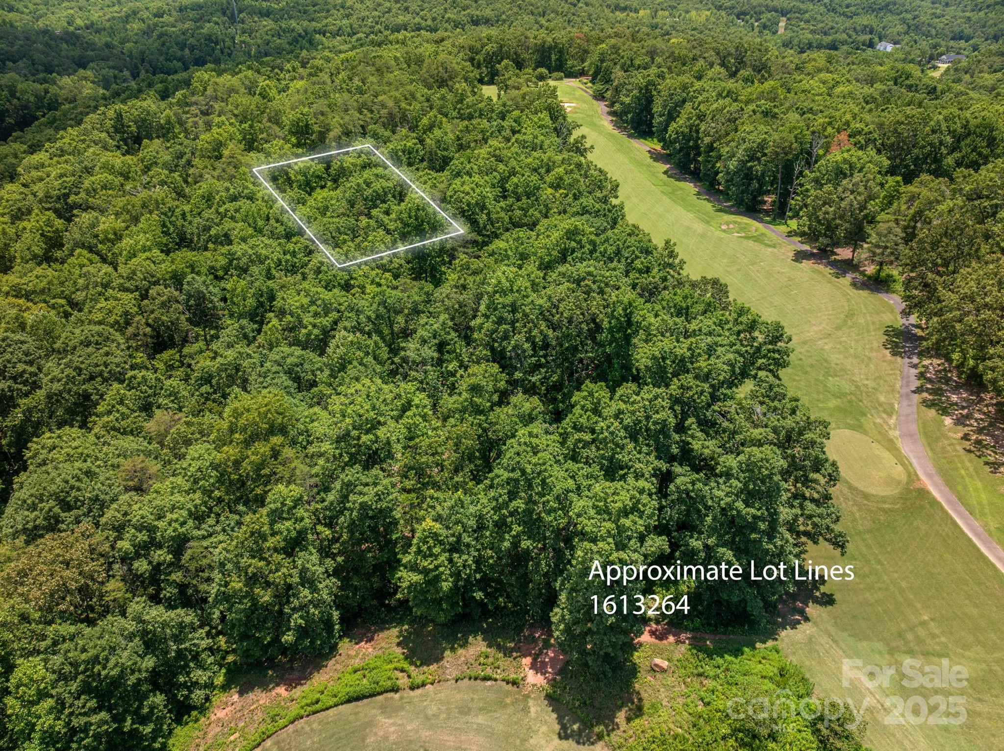 Lot at Lot 215 Plantation Drive, Rutherfordton, photo 2 of 19