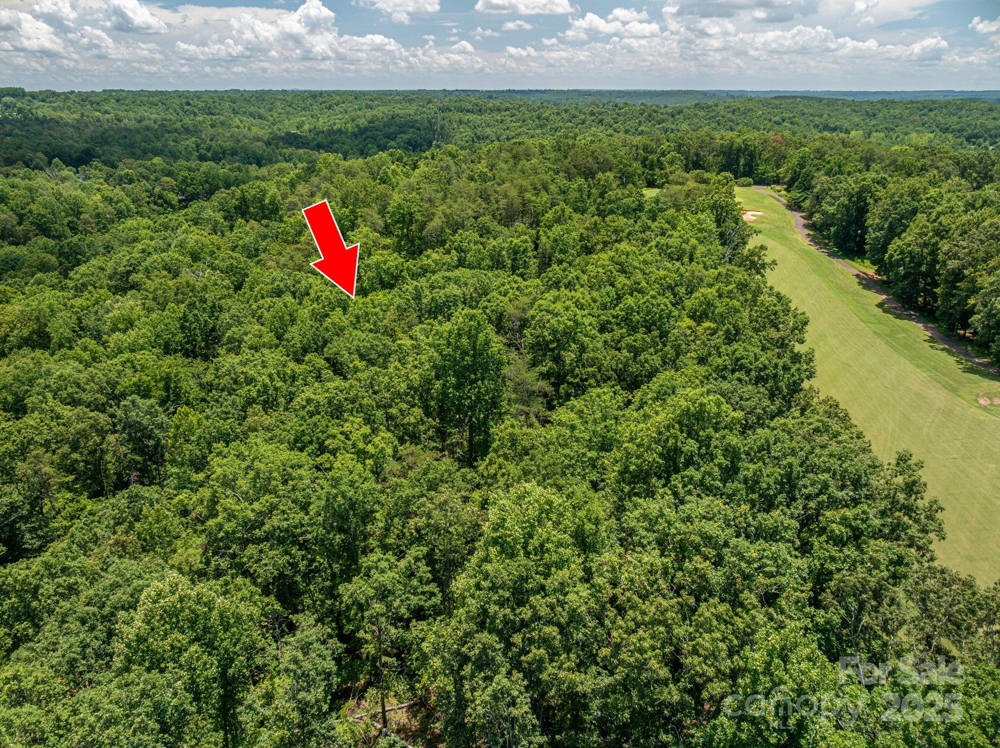 Lot at Lot 215 Plantation Drive, Rutherfordton, photo 3 of 19