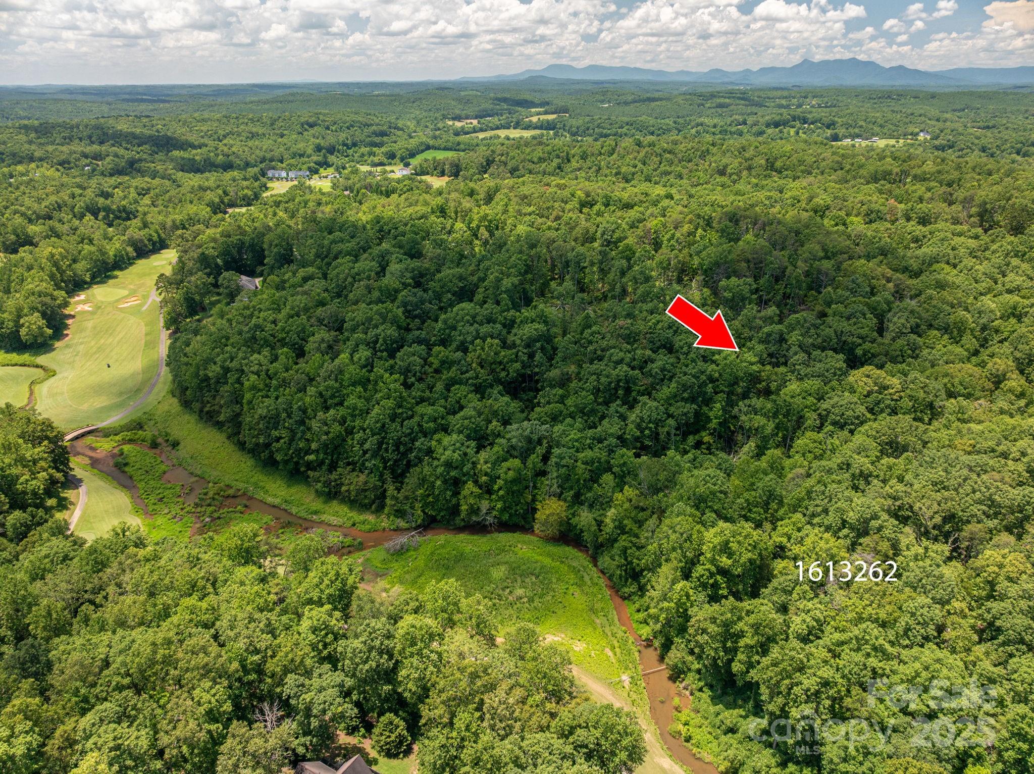 Lot at Lot 213 Plantation Drive, Rutherfordton, photo 2 of 18