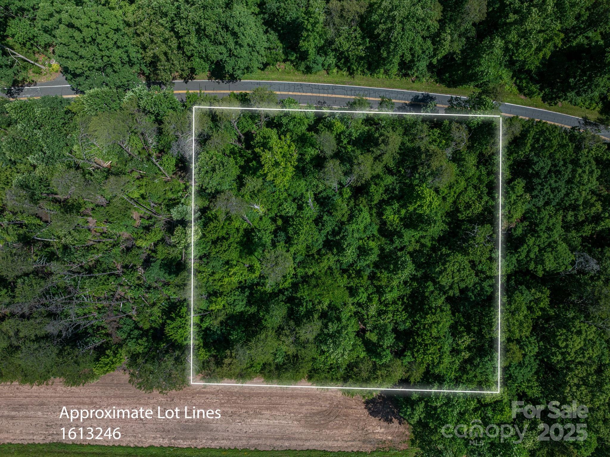 Lot at Lot 2 Cleghorn Mill Road, Rutherfordton, photo 2 of 23