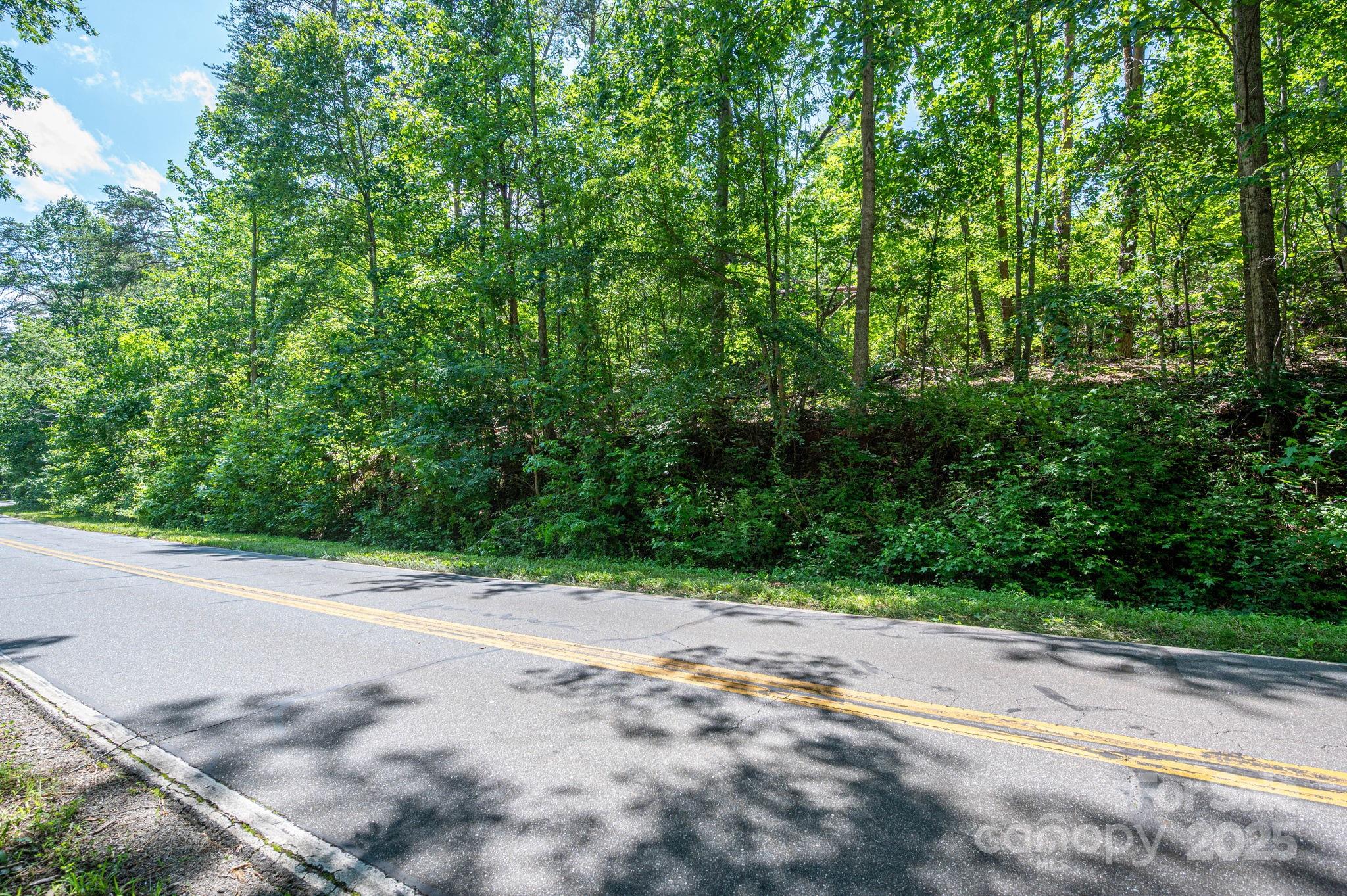 Lot at Lot 1 Cleghorn Mill Road, Rutherfordton, photo 2 of 24