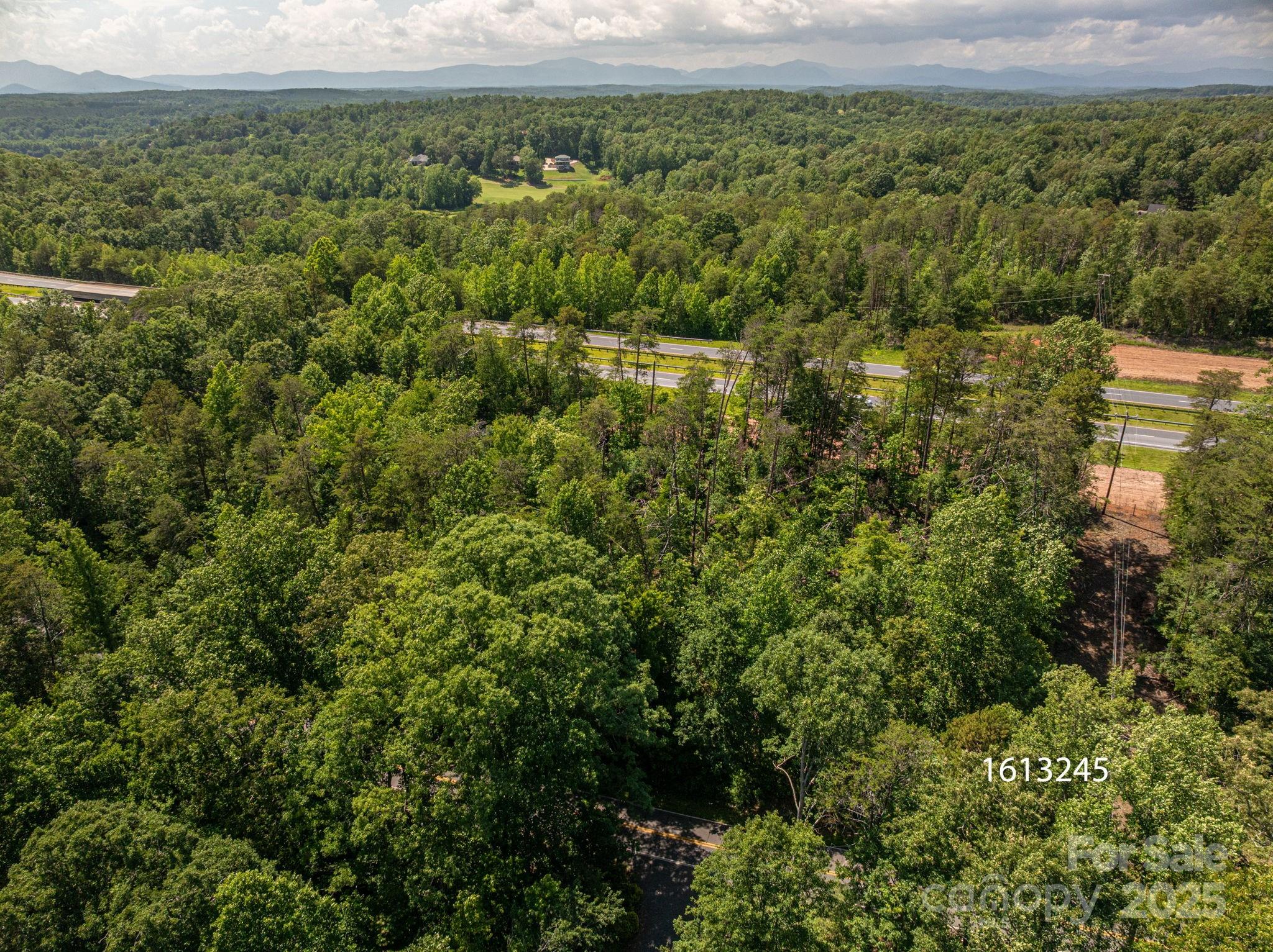 Lot at Lot 1 Cleghorn Mill Road, Rutherfordton, photo 3 of 24