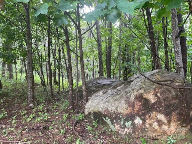 Lot at 00 Cherry Hill Street, Mill Spring, photo 2 of 8