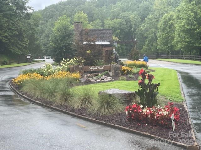 Lot at 00 Cherry Hill Street, Mill Spring, photo 3 of 8