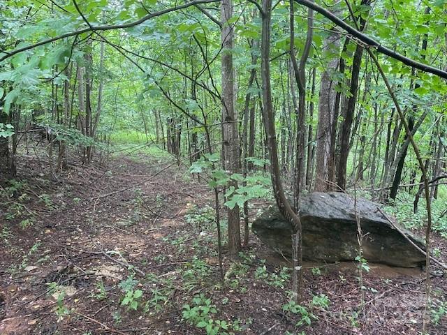 Lot at 00 Cherry Hill Street, Mill Spring, photo 4 of 8