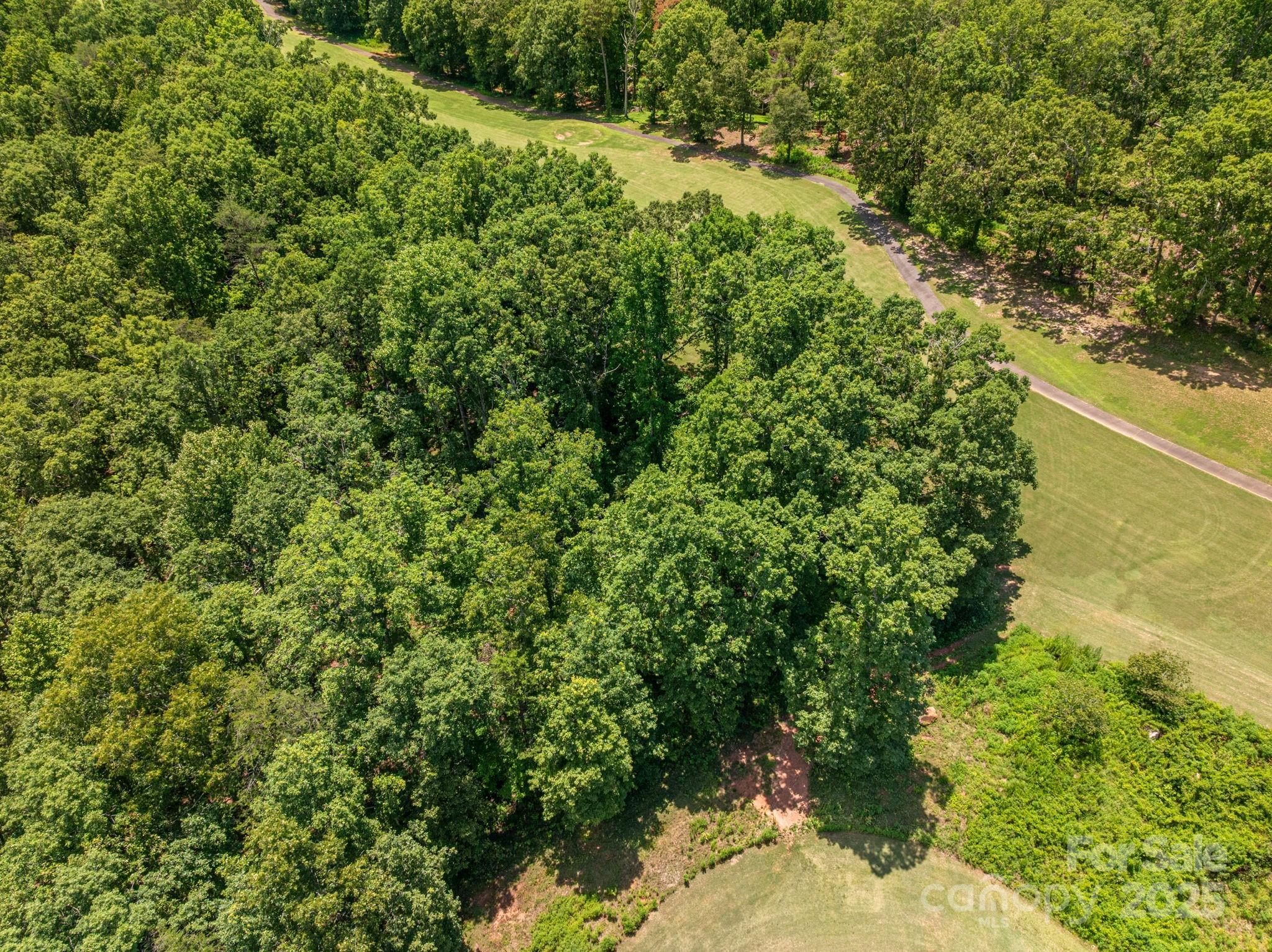 Lot at Lot 219 Plantation Drive, Rutherfordton, photo 4 of 19