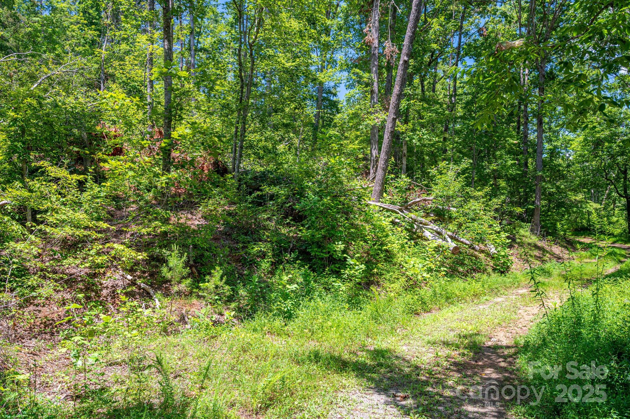 Lot 221 Plantation Drive