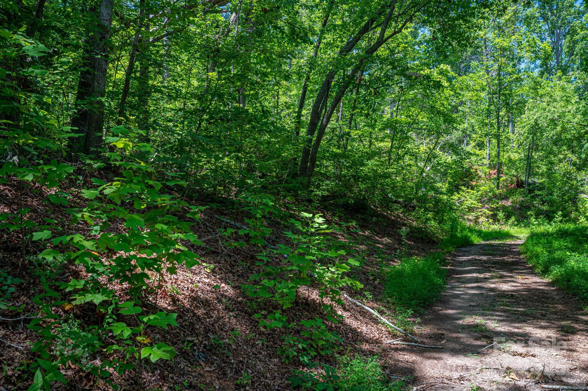 Lot at Lot 221 Plantation Drive, Rutherfordton, photo 3 of 18