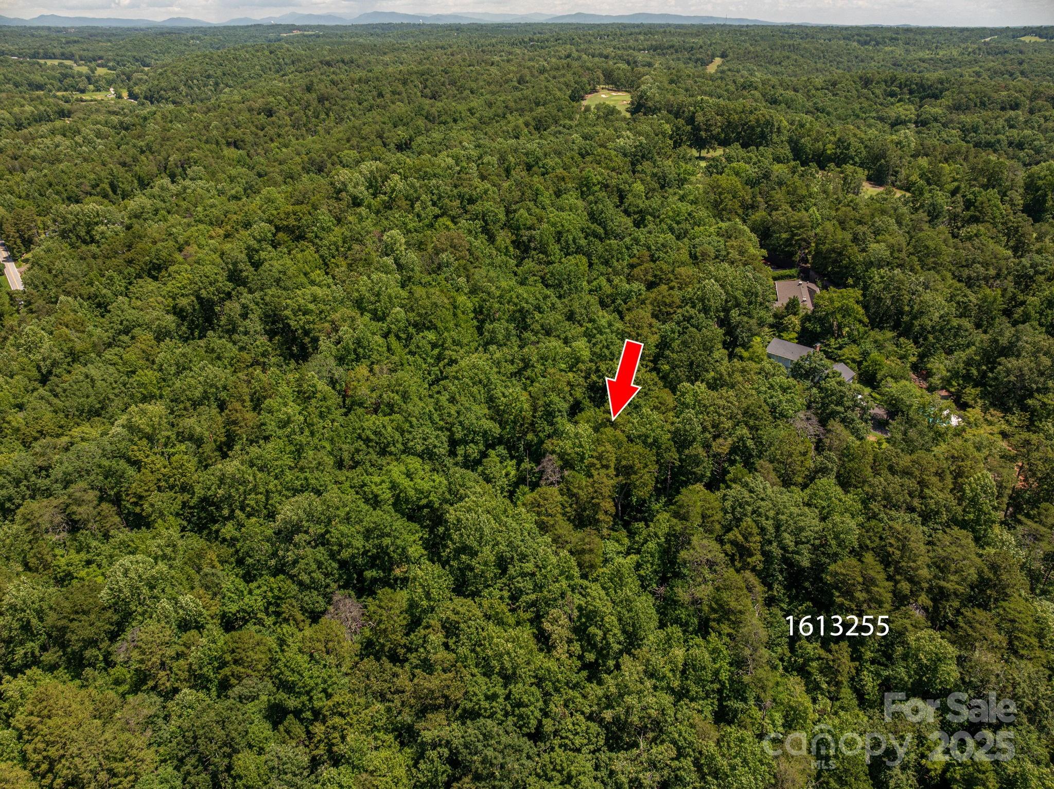 Lot at Lot 167 Plantation Drive, Rutherfordton, photo 3 of 22
