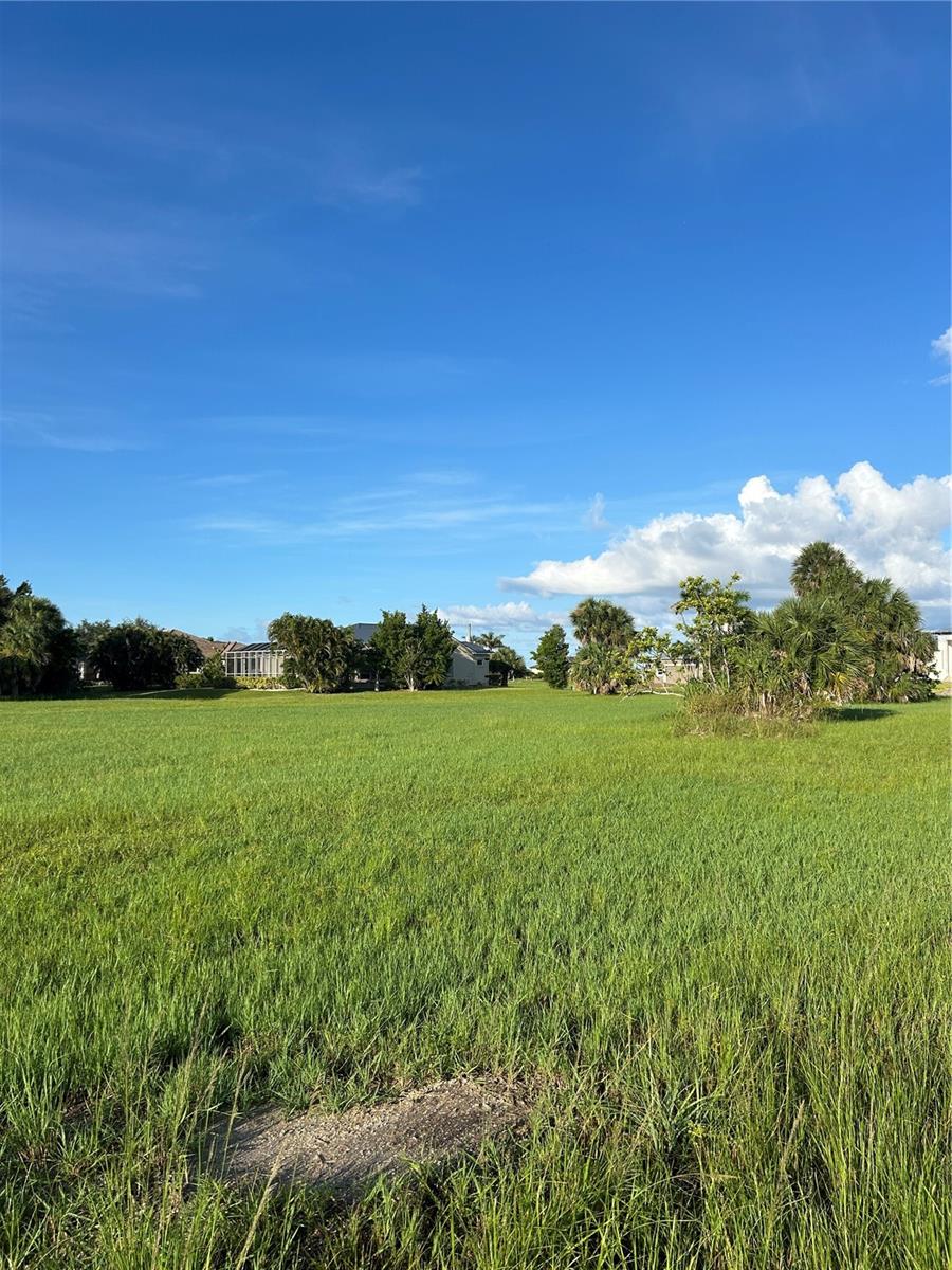Land at 24163 COLIMA CT, PUNTA GORDA, photo 5 of 8