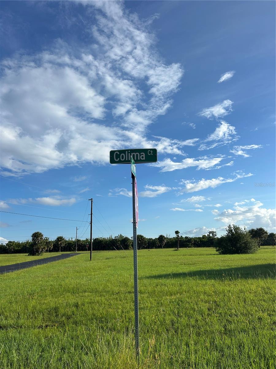 Land at 24163 COLIMA CT, PUNTA GORDA, photo 7 of 8