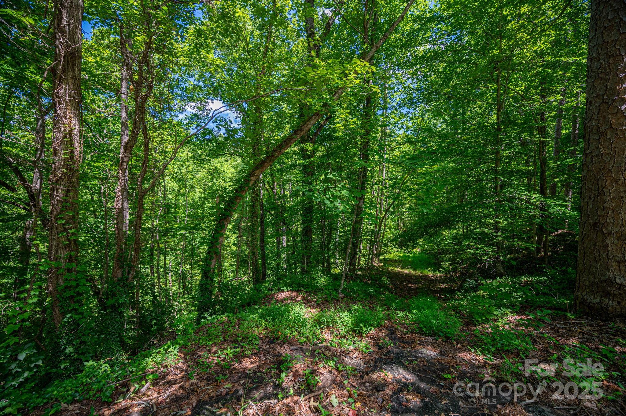 Lot at LOT 168 Plantation Drive, Rutherfordton, photo 2 of 20