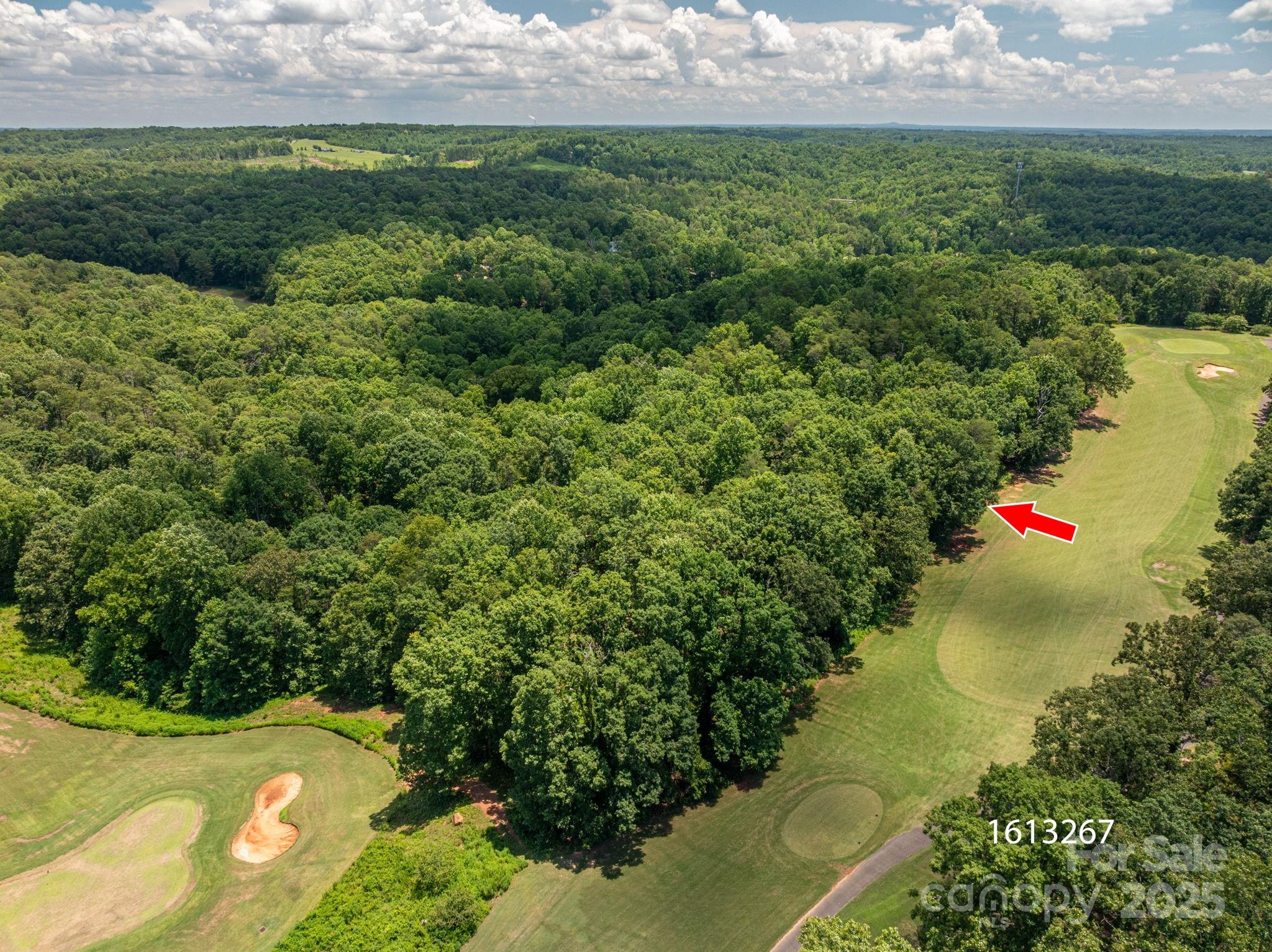 Lot at Lot 217 Plantation Drive, Rutherfordton, photo 3 of 15