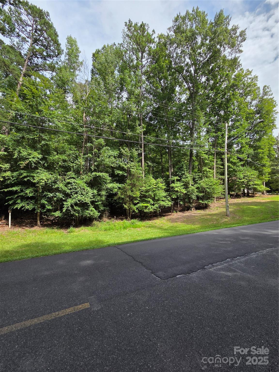 Lot at 242 Creswell Road, Mount Gilead, photo 2 of 20
