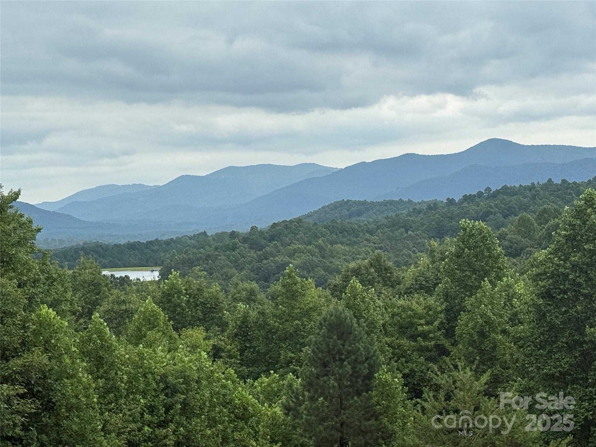 166 Coal Pit Mountain Drive