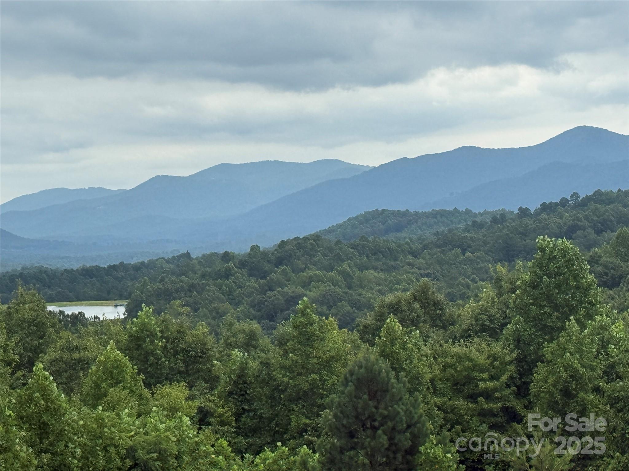 Lot at 166 Coal Pit Mountain Drive, Nebo, photo 2 of 33