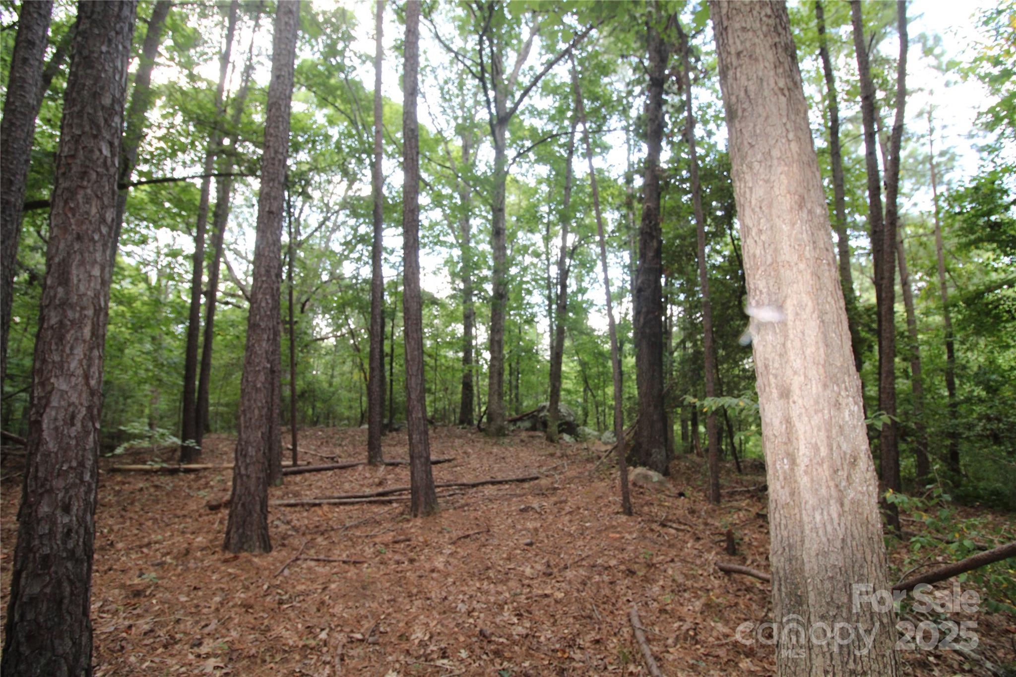 Lot at Lot 1 Lake Wylie Drive, Rock Hill, photo 2 of 6