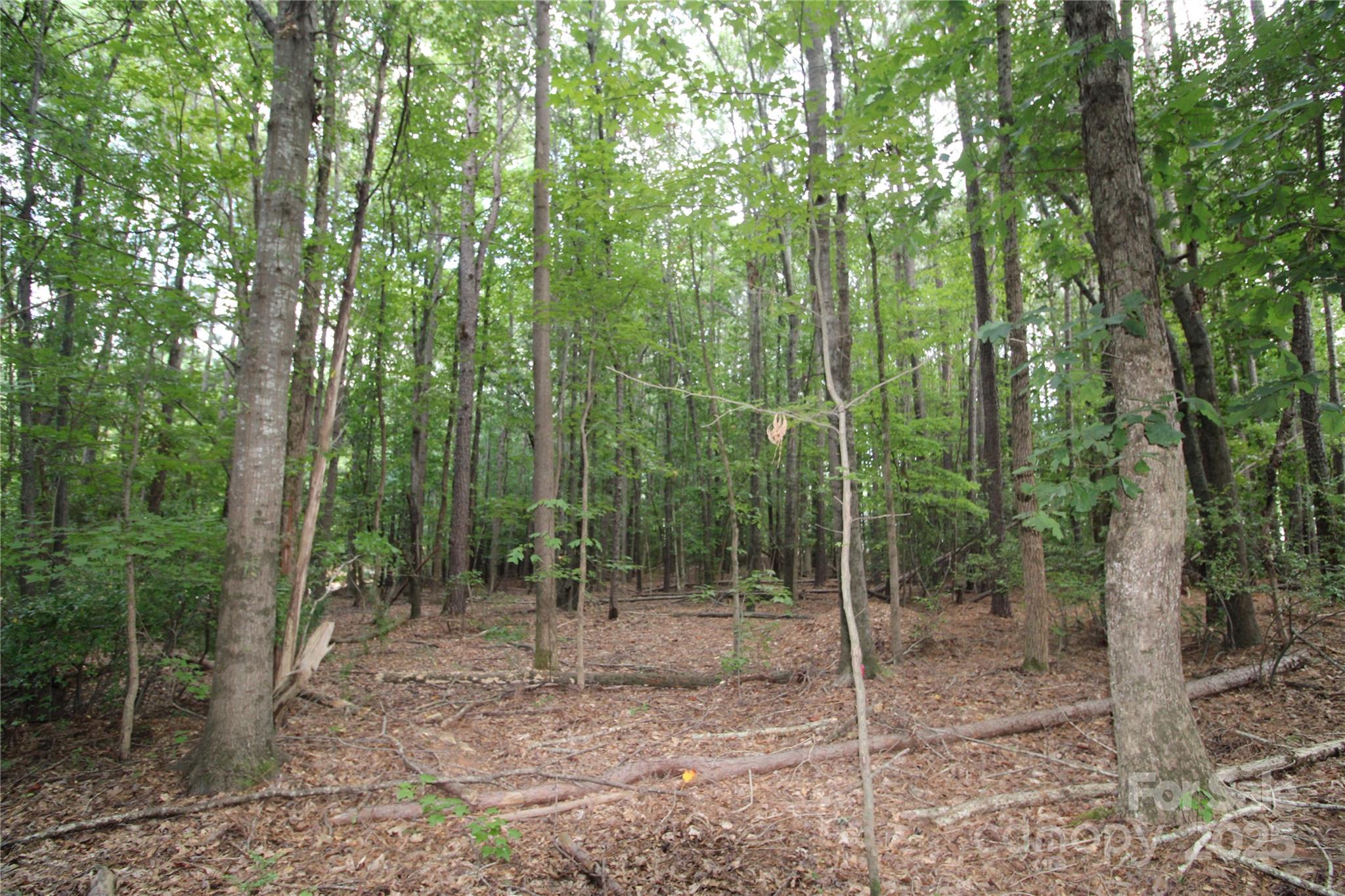Lot at Lot 2 Lake Wylie Drive, Rock Hill, photo 2 of 5