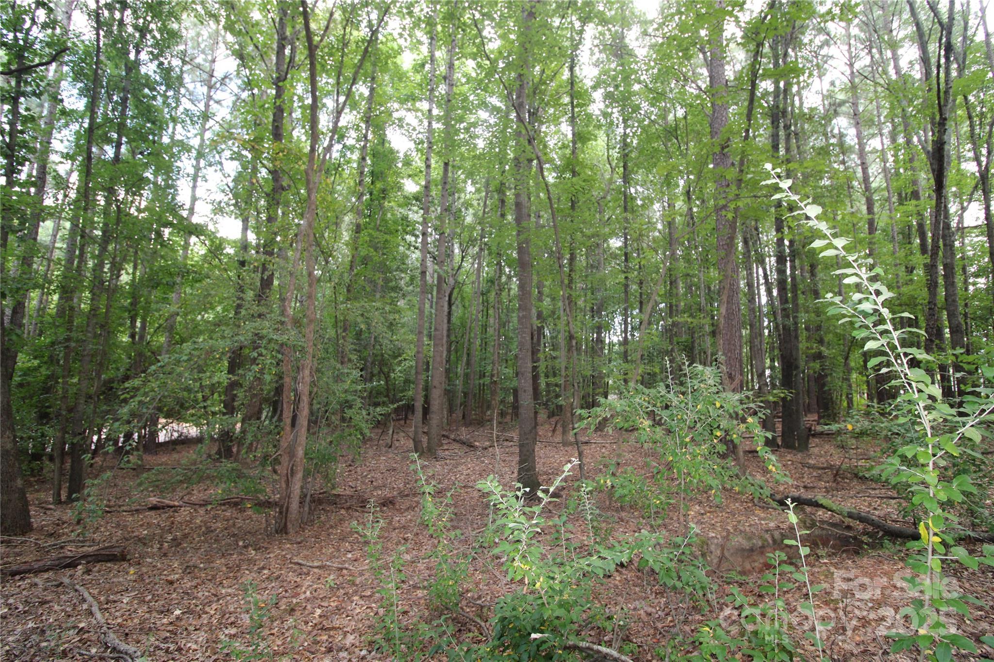 Lot at Lot 4 Lake Wylie Drive, Rock Hill, photo 2 of 6