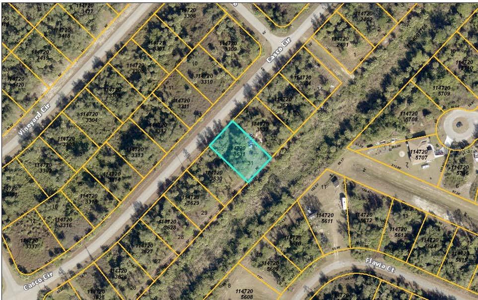 Lot 31 CASCO CIR