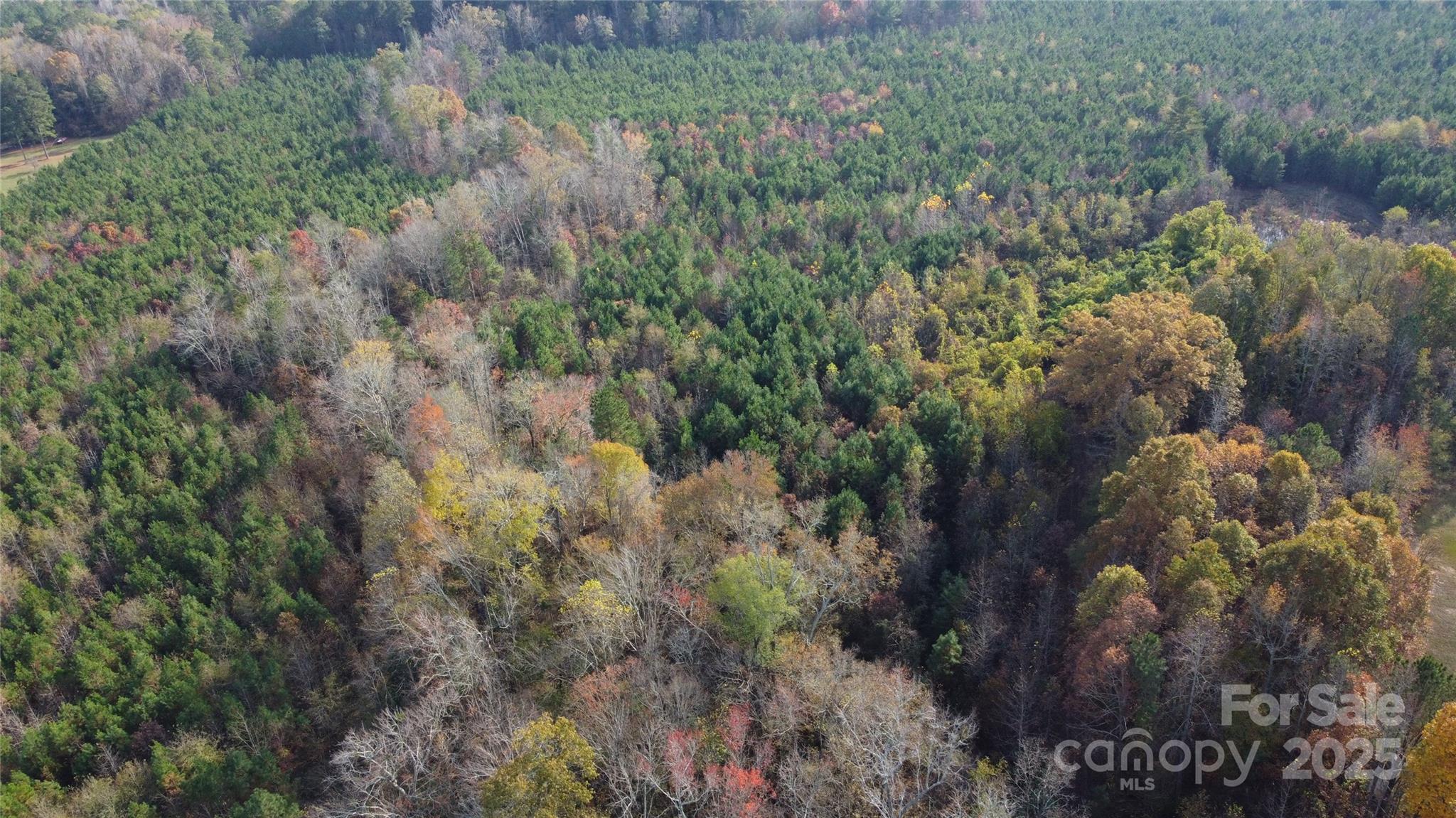 Acreage at 2351 Reges Store Road, Nashville, photo 13 of 44