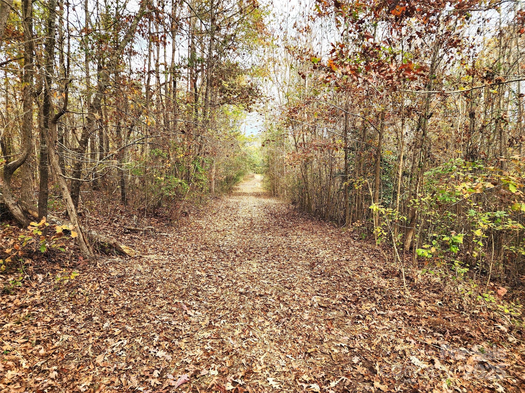 Acreage at 2351 Reges Store Road, Nashville, photo 14 of 44
