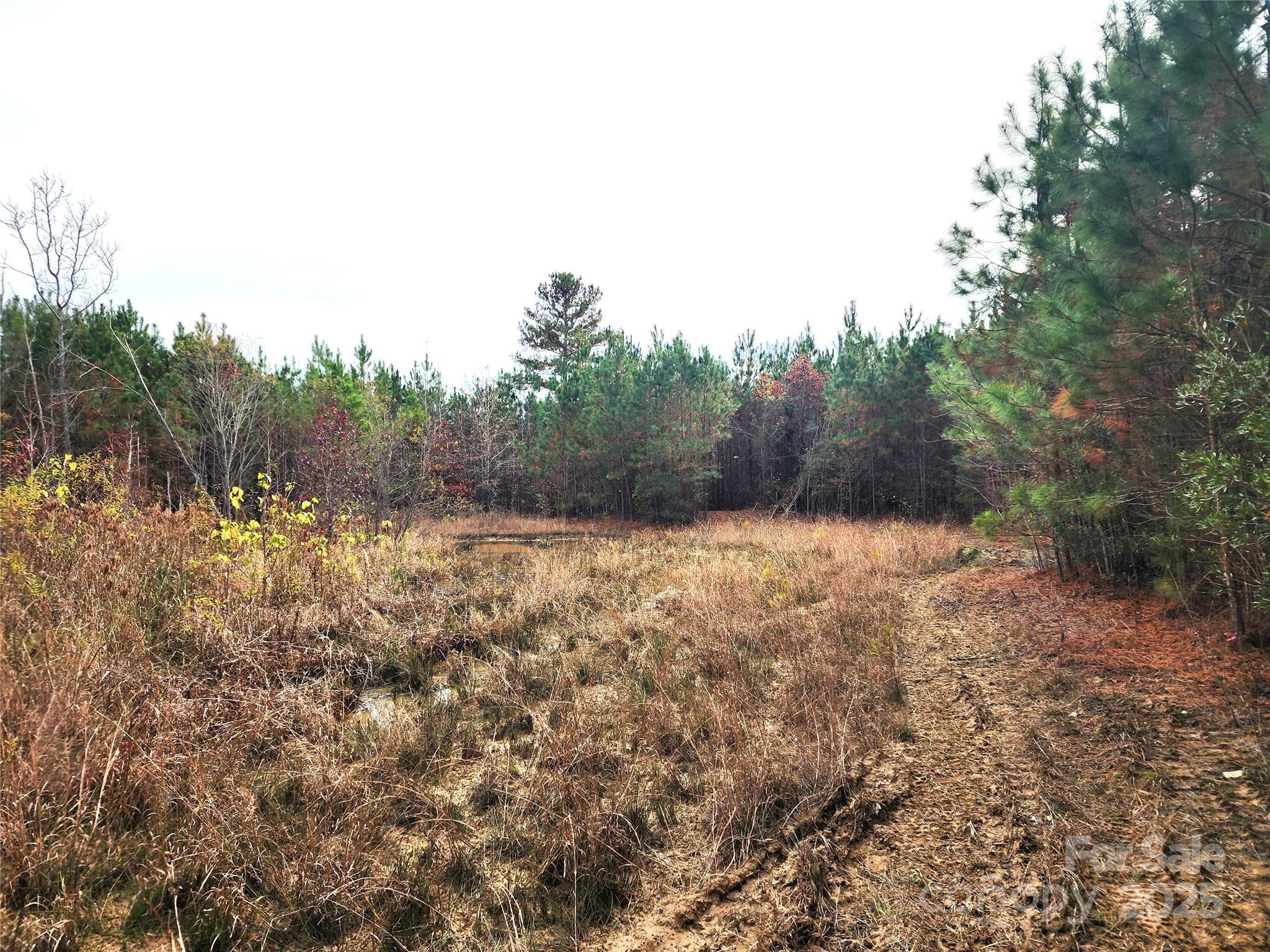 Acreage at 2351 Reges Store Road, Nashville, photo 15 of 44