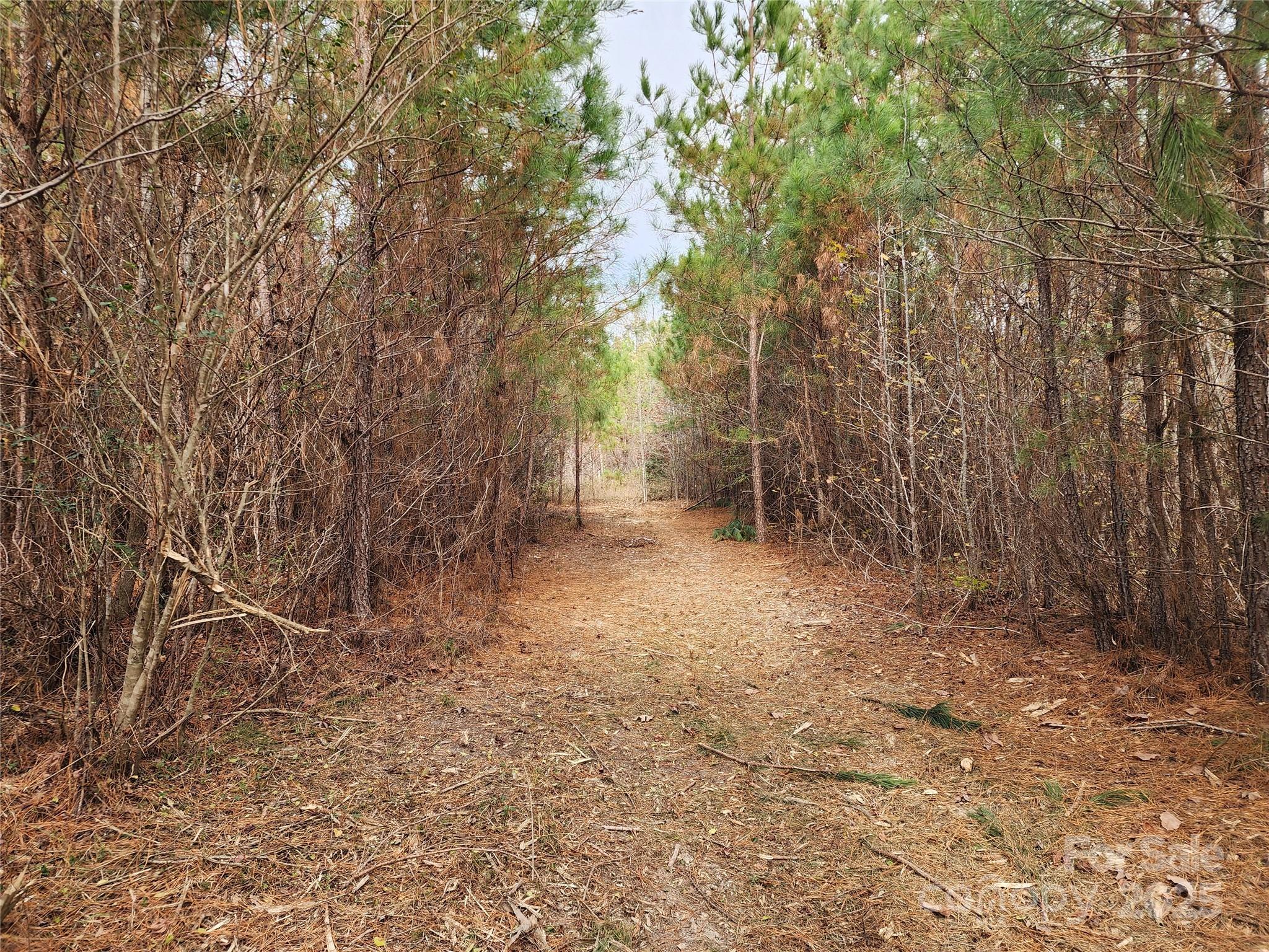 Acreage at 2351 Reges Store Road, Nashville, photo 17 of 44