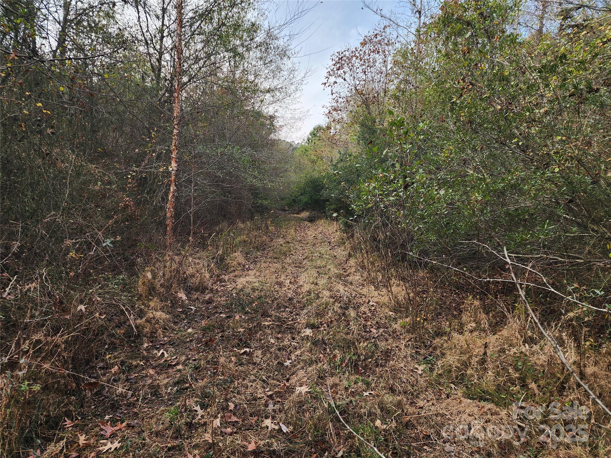 Acreage at 2351 Reges Store Road, Nashville, photo 19 of 44