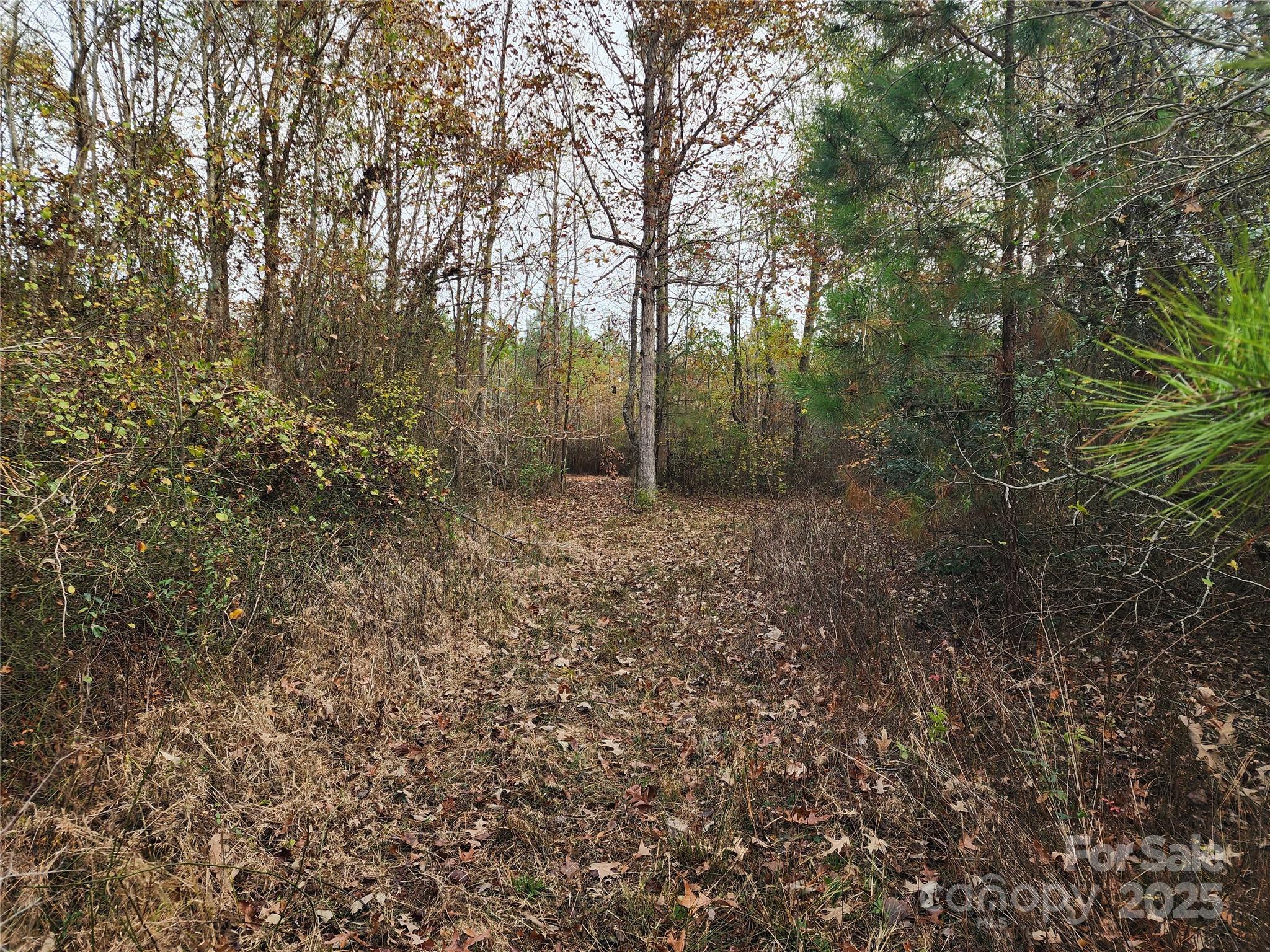 Acreage at 2351 Reges Store Road, Nashville, photo 20 of 44