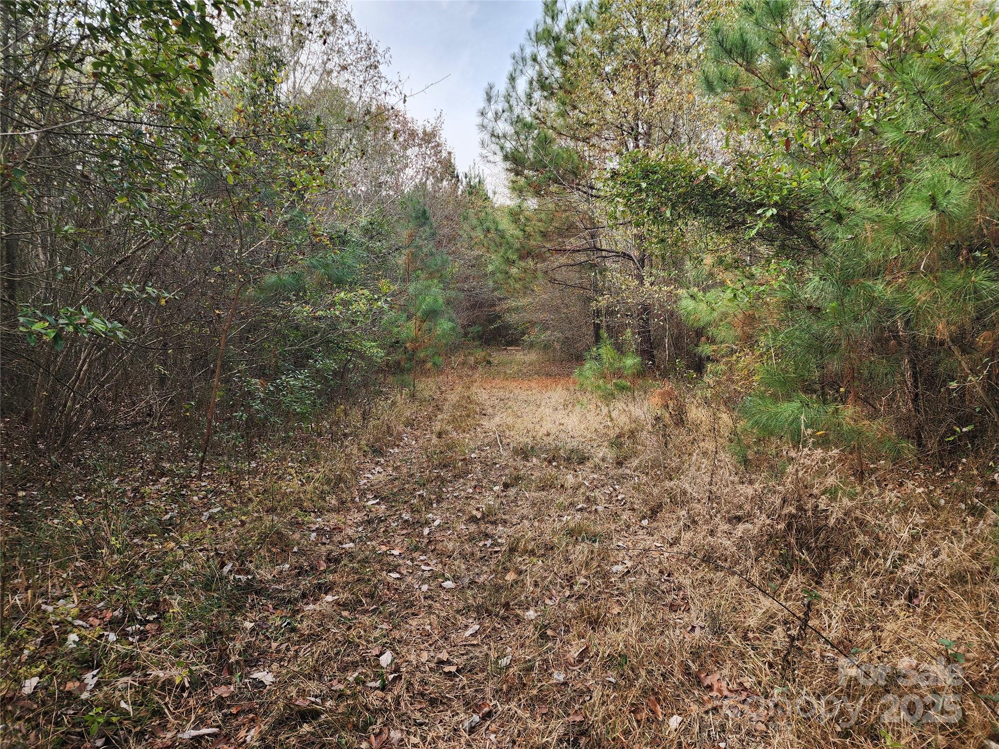 Acreage at 2351 Reges Store Road, Nashville, photo 21 of 44