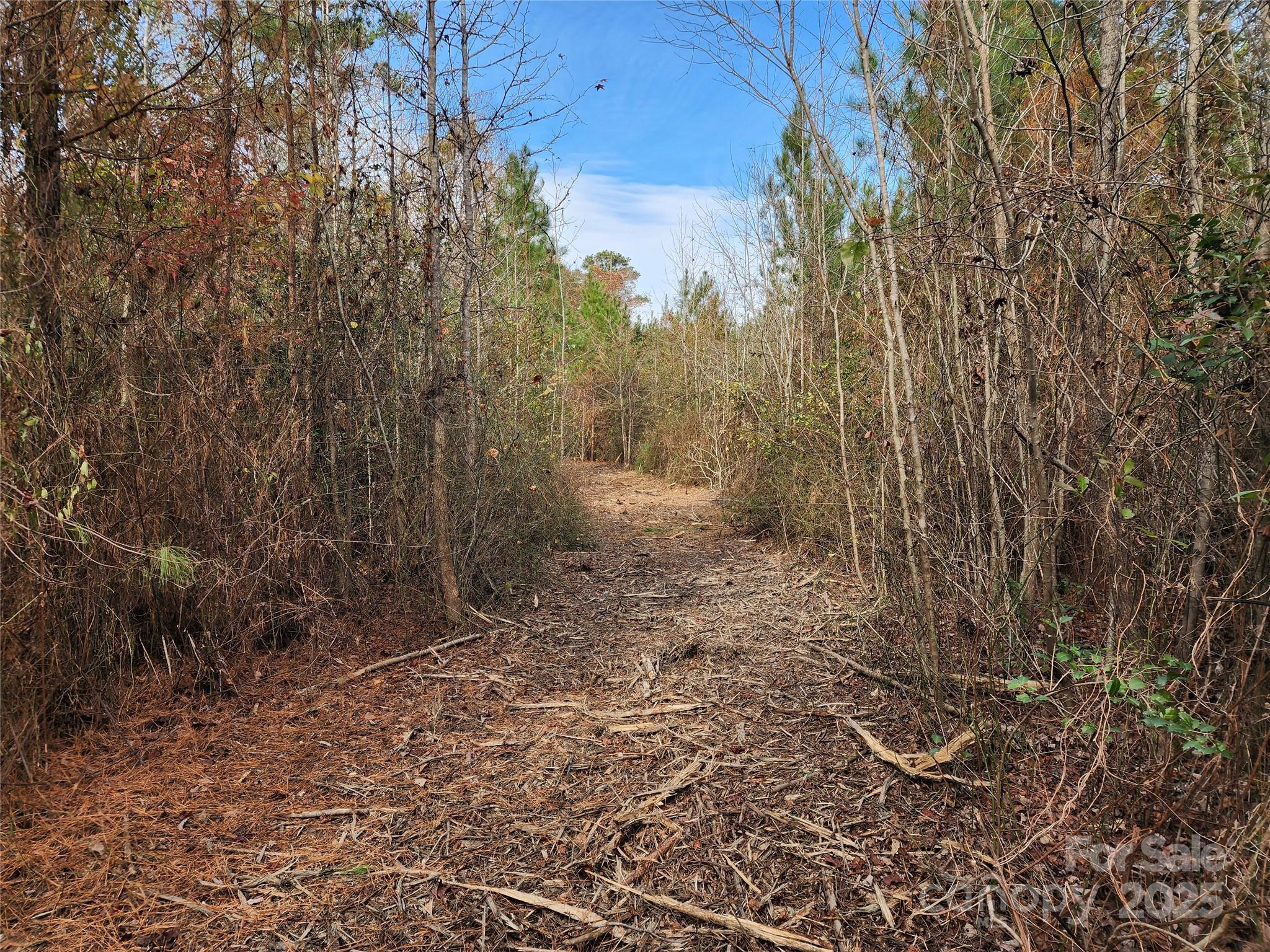 Acreage at 2351 Reges Store Road, Nashville, photo 22 of 44