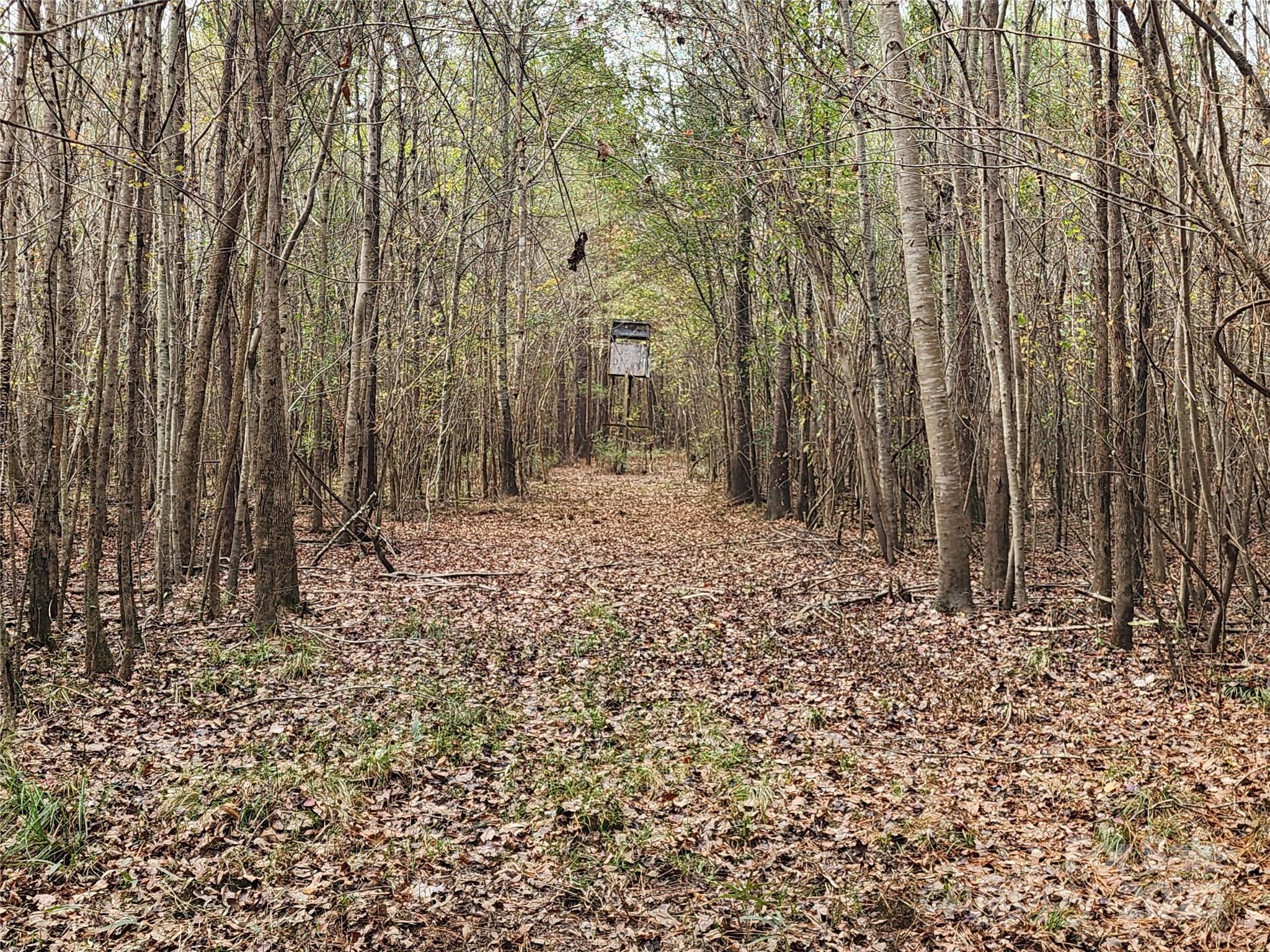 Acreage at 2351 Reges Store Road, Nashville, photo 23 of 44