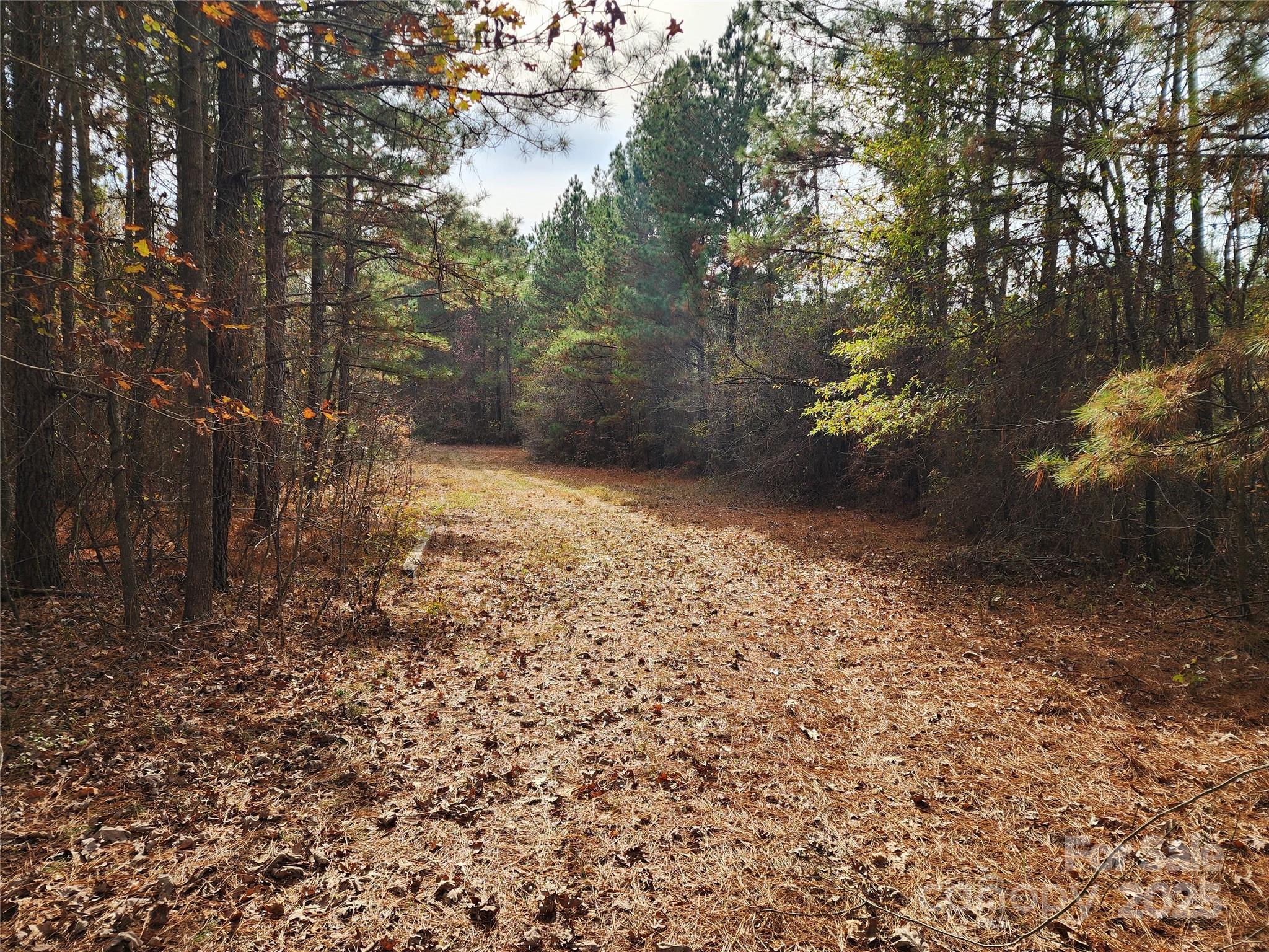 Acreage at 2351 Reges Store Road, Nashville, photo 24 of 44