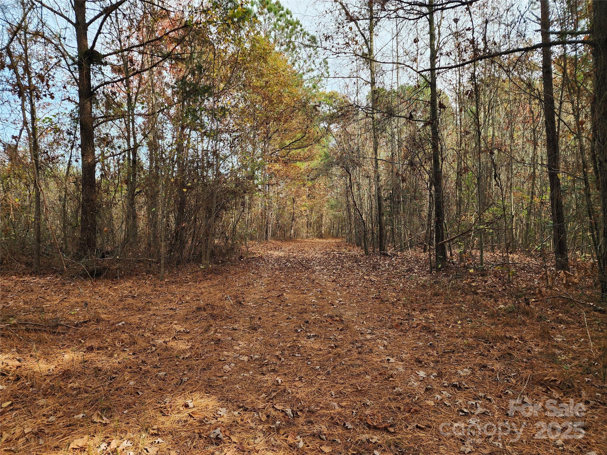 Acreage at 2351 Reges Store Road, Nashville, photo 25 of 44