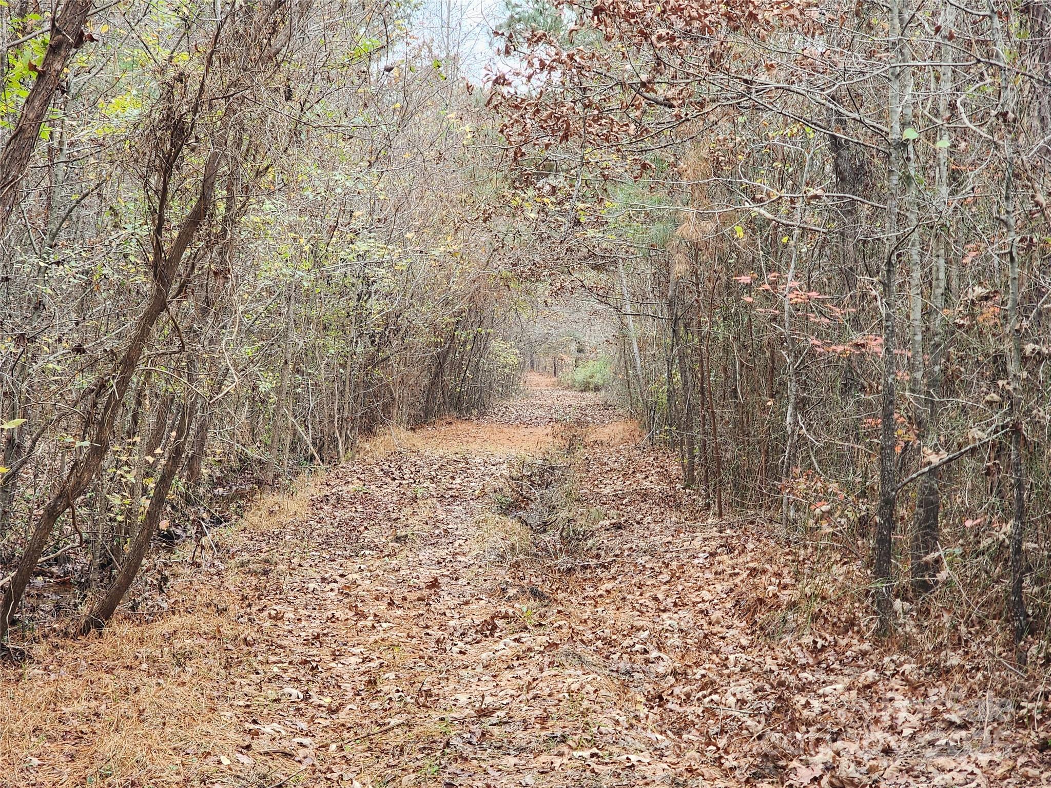 Acreage at 2351 Reges Store Road, Nashville, photo 26 of 44