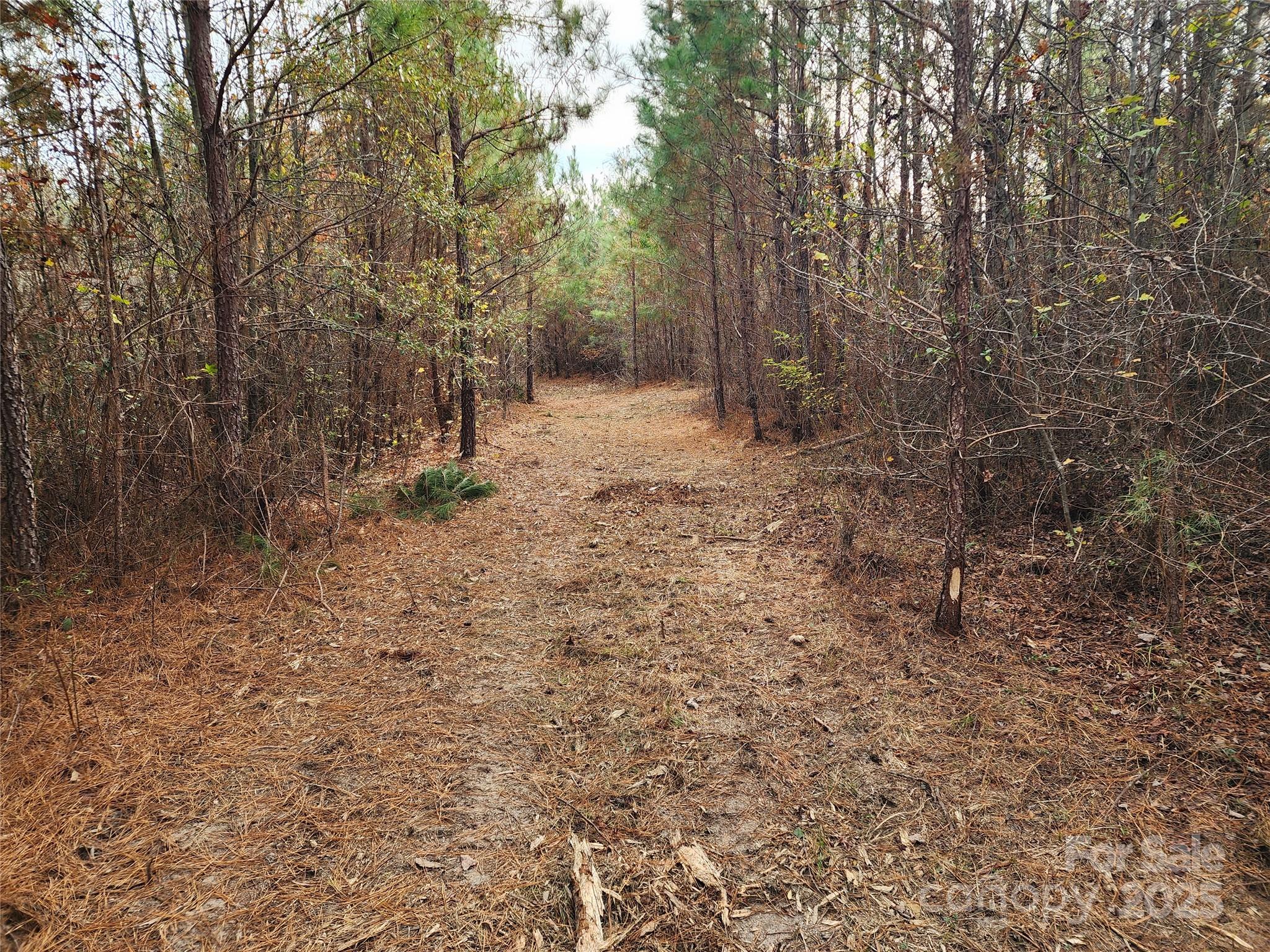 Acreage at 2351 Reges Store Road, Nashville, photo 27 of 44