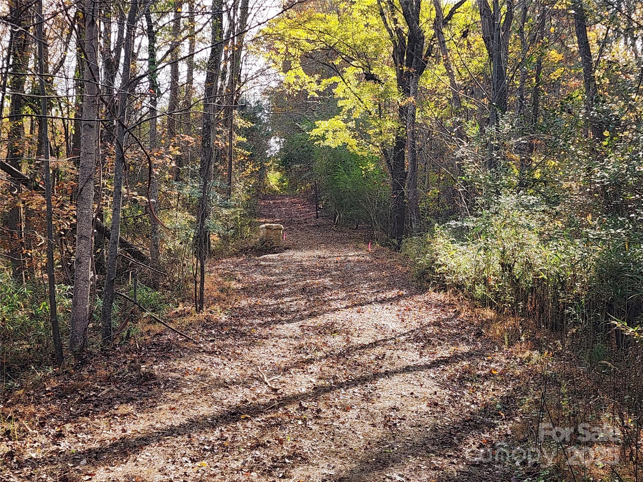 Acreage at 2351 Reges Store Road, Nashville, photo 28 of 44