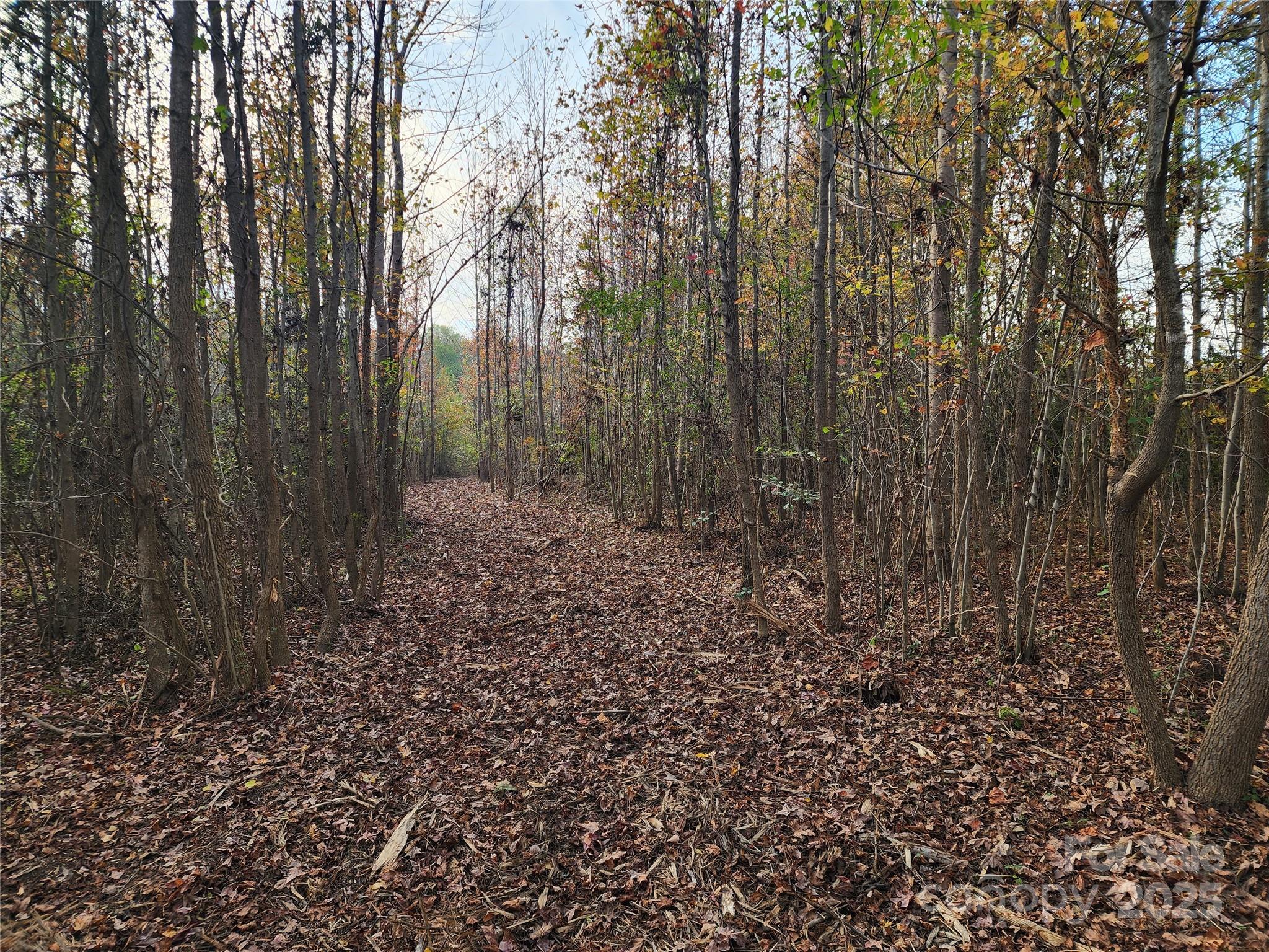 Acreage at 2351 Reges Store Road, Nashville, photo 29 of 44