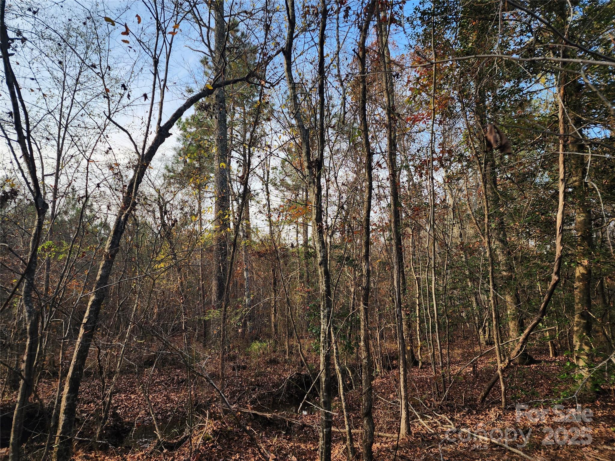 Acreage at 2351 Reges Store Road, Nashville, photo 31 of 44