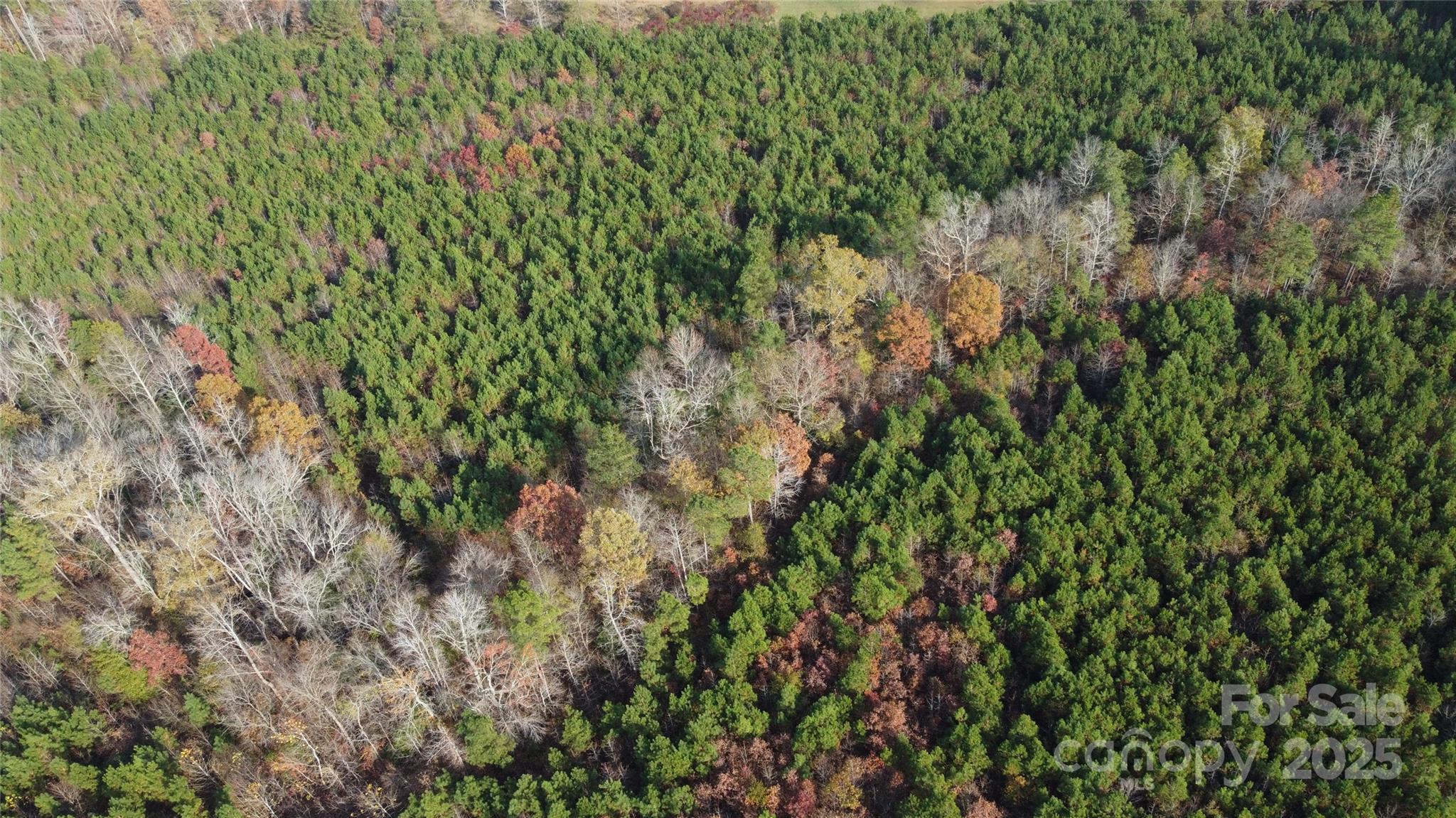 Acreage at 2351 Reges Store Road, Nashville, photo 33 of 44