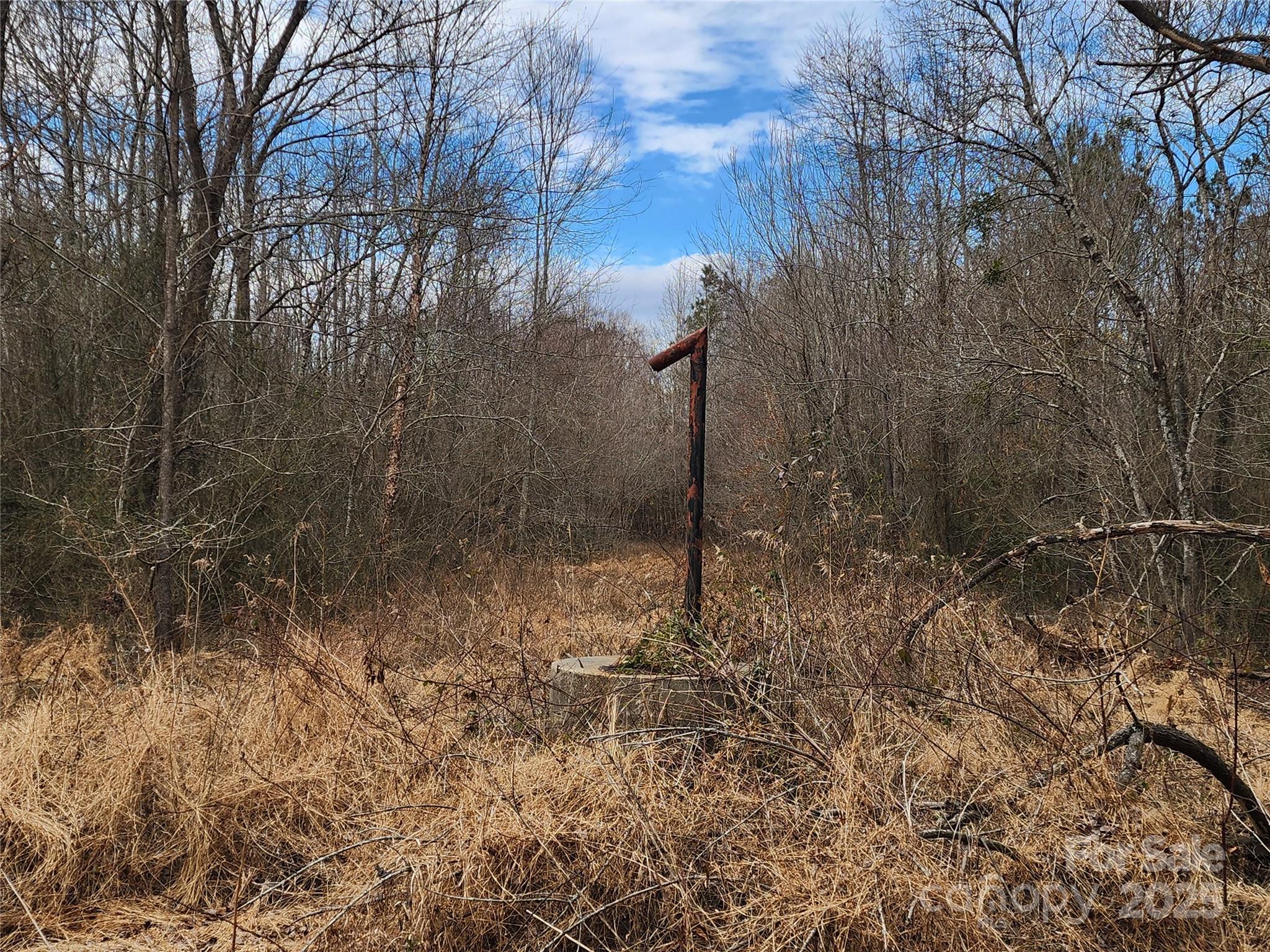 Acreage at 2351 Reges Store Road, Nashville, photo 36 of 44