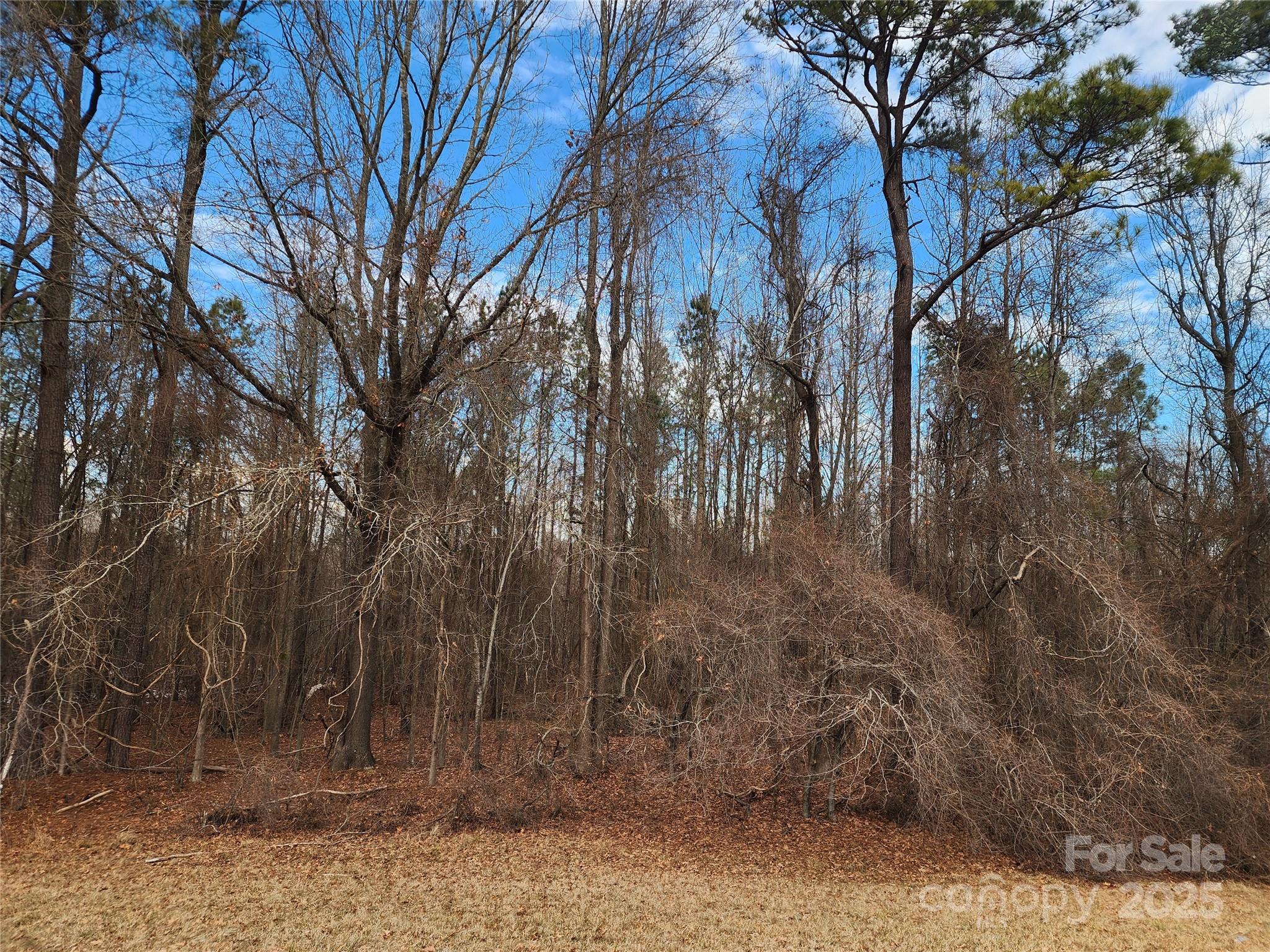 Acreage at 2351 Reges Store Road, Nashville, photo 37 of 44