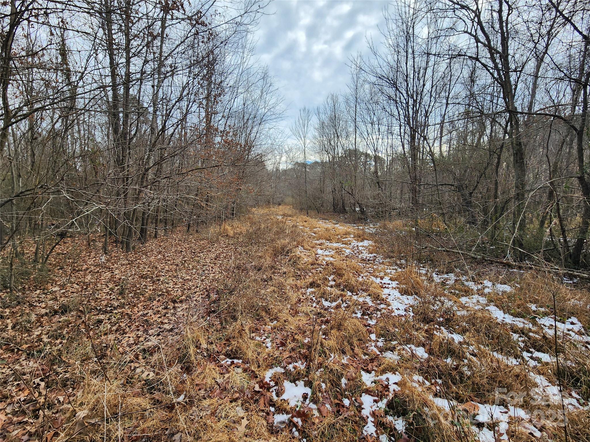 Acreage at 2351 Reges Store Road, Nashville, photo 42 of 44